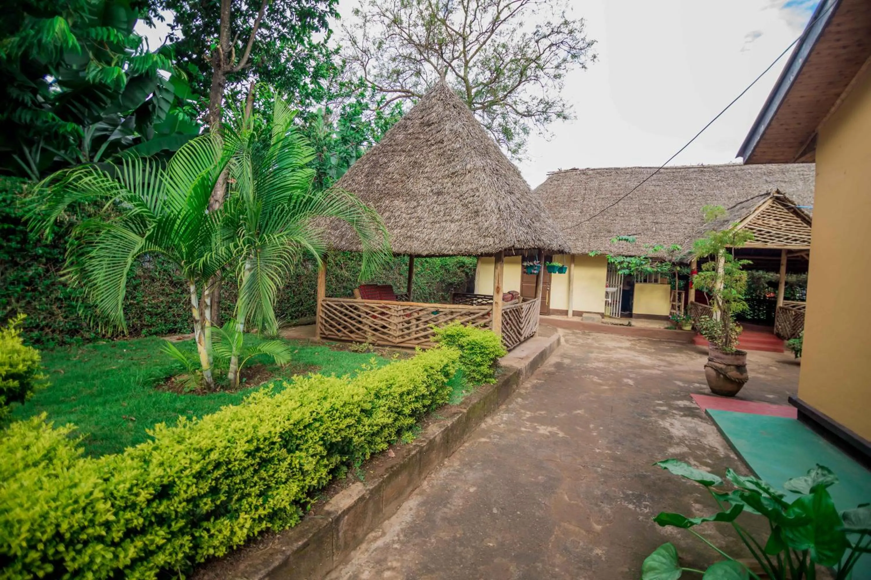 Garden in The Better Inn