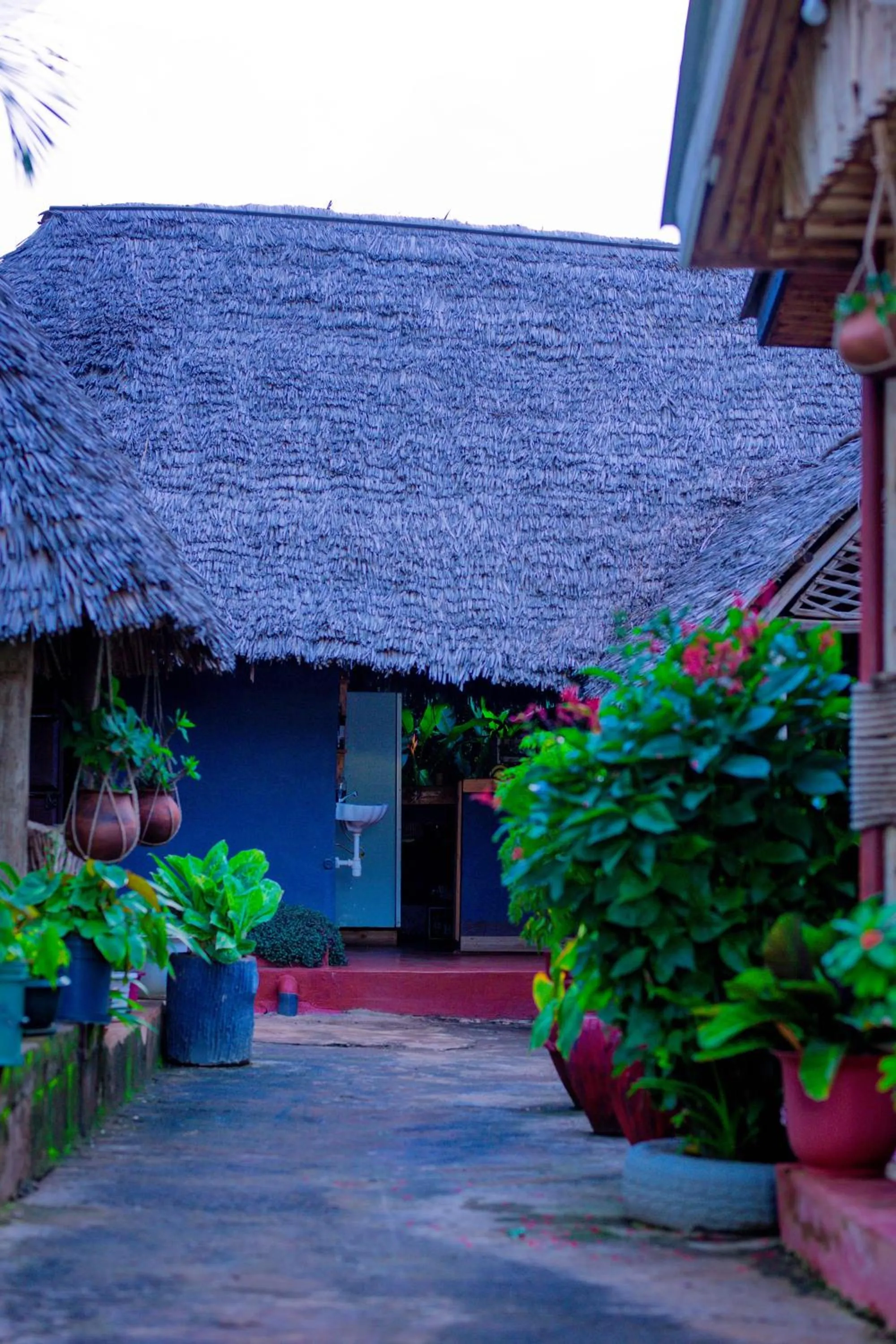 Property building in The Better Inn