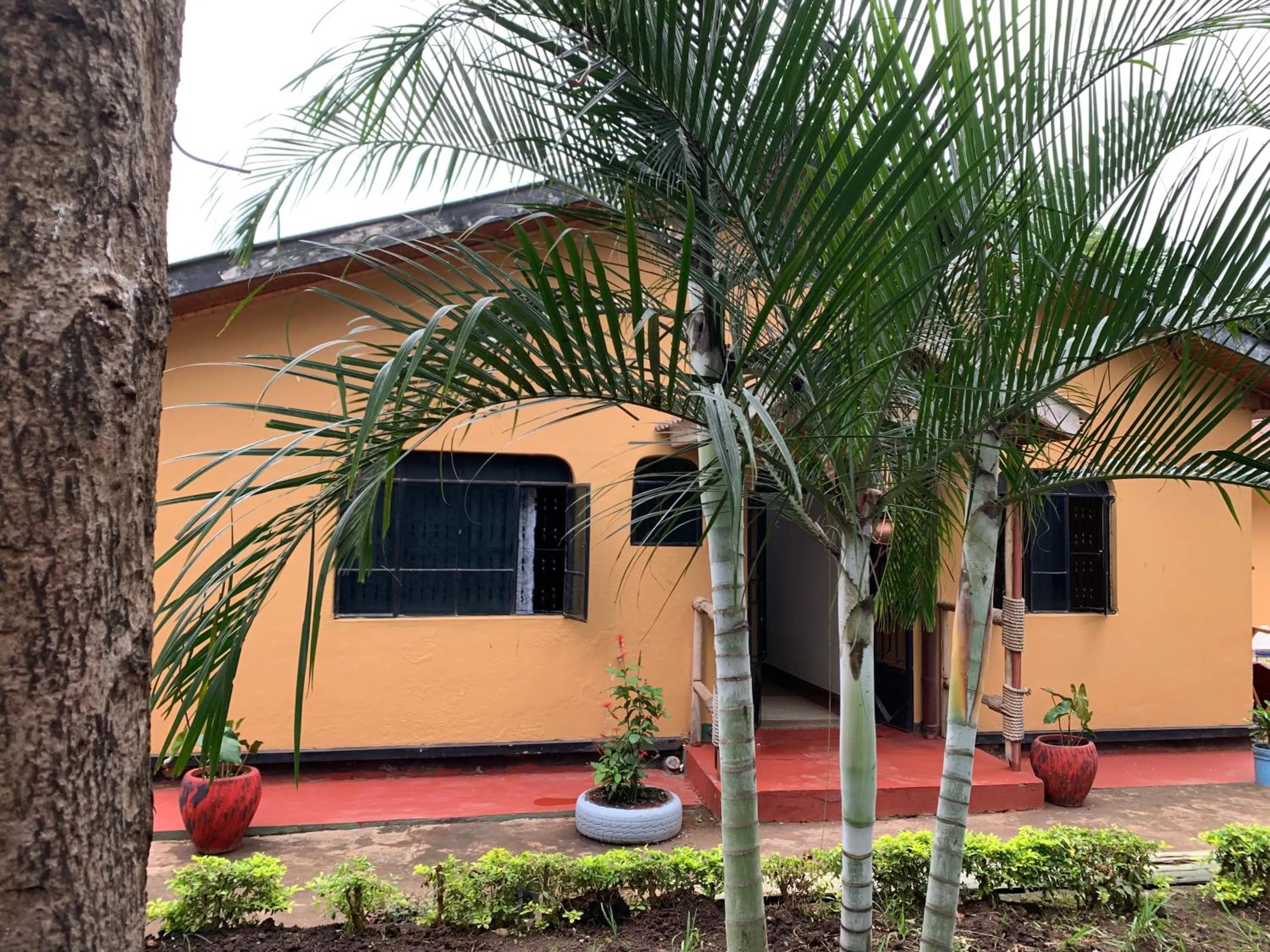 Garden in The Better Inn