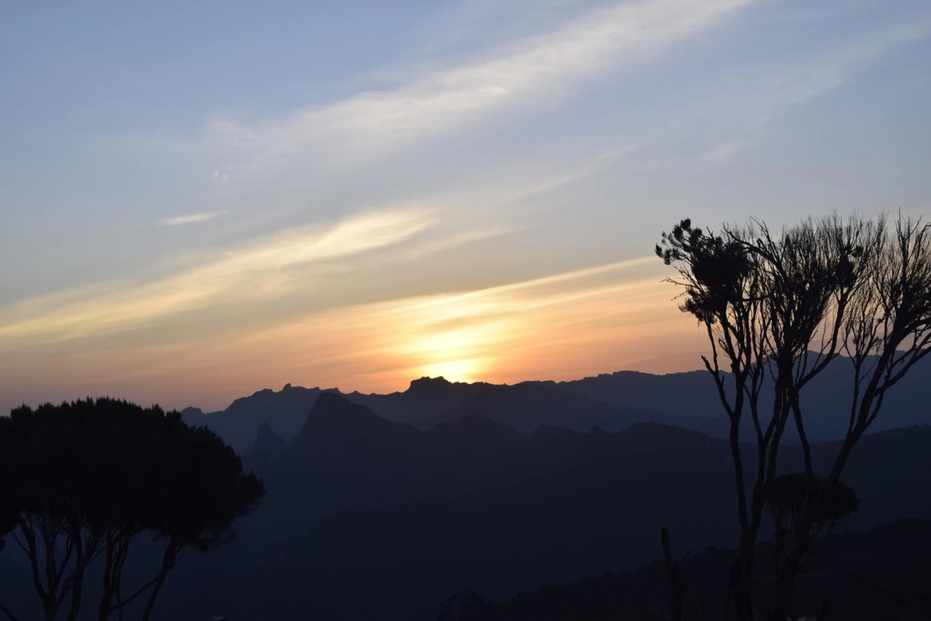 Activities in The Better Inn