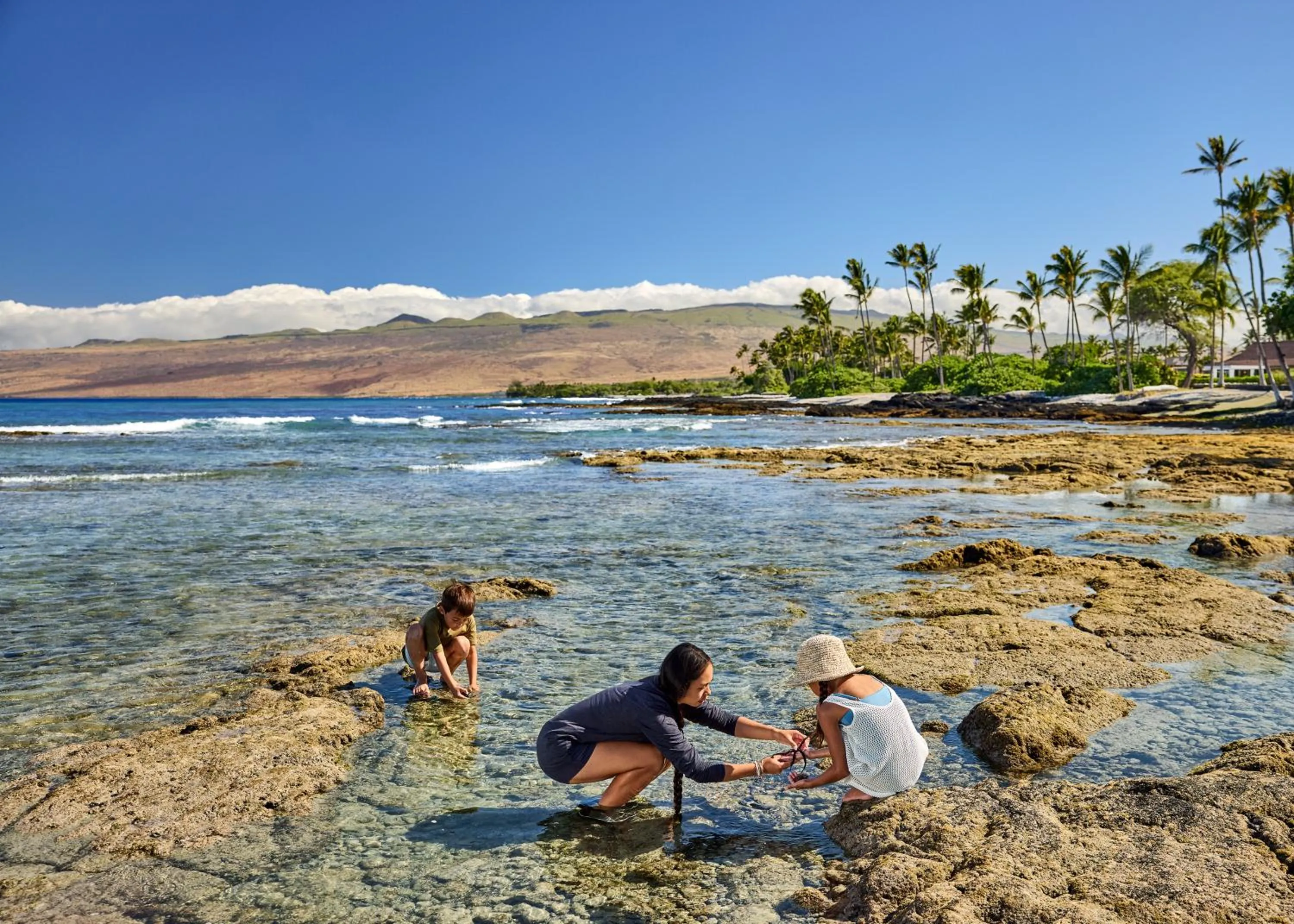 Natural landscape in Mauna Lani, Auberge Collection