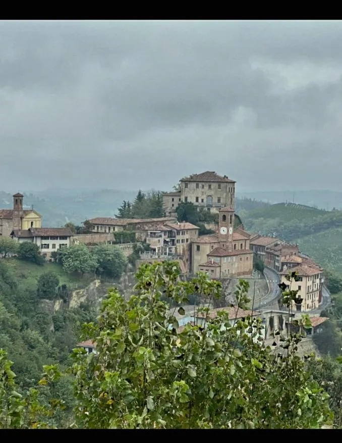 Il bosco delle torte