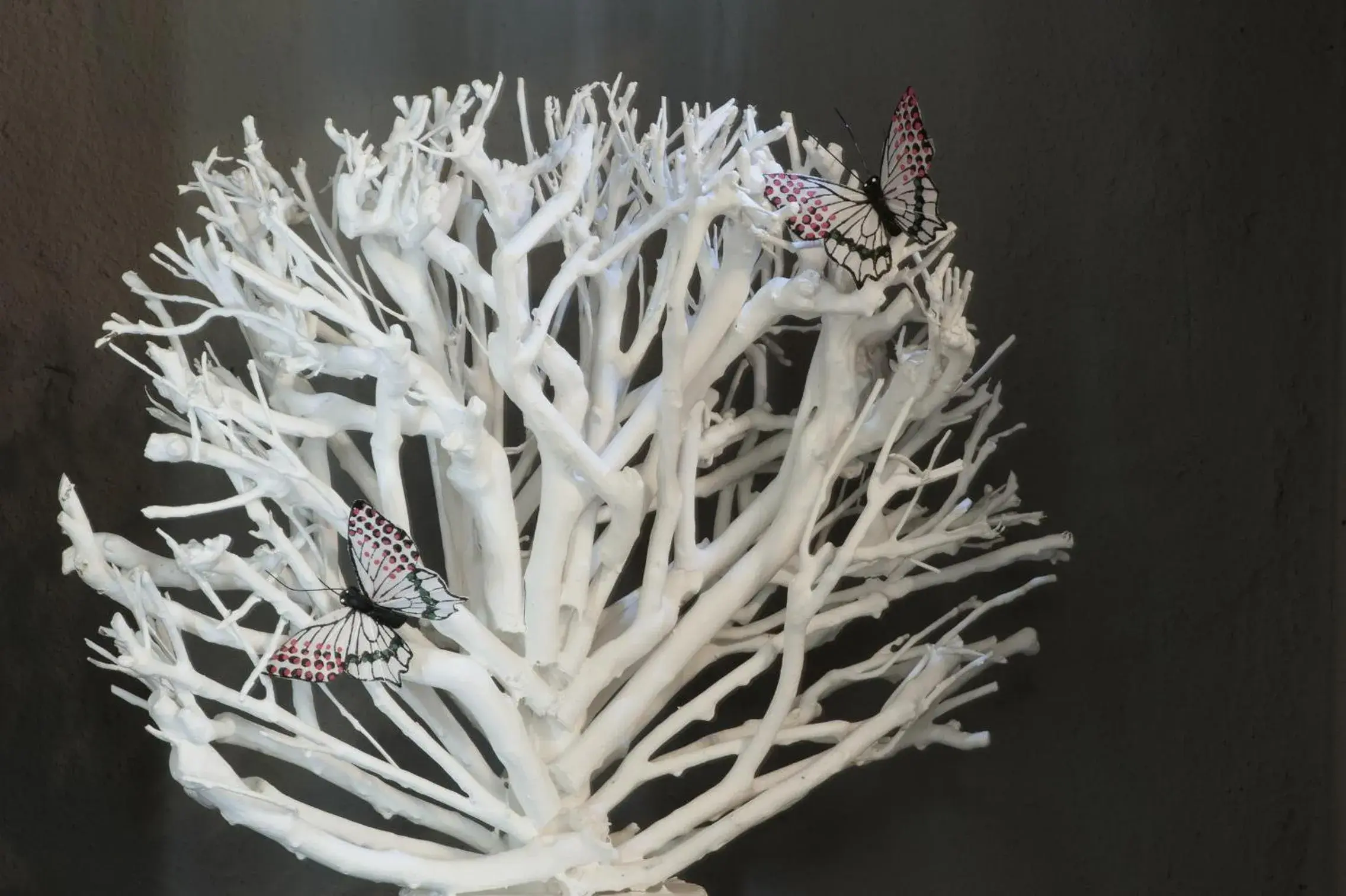 Il bosco delle torte Il bosco delle torte