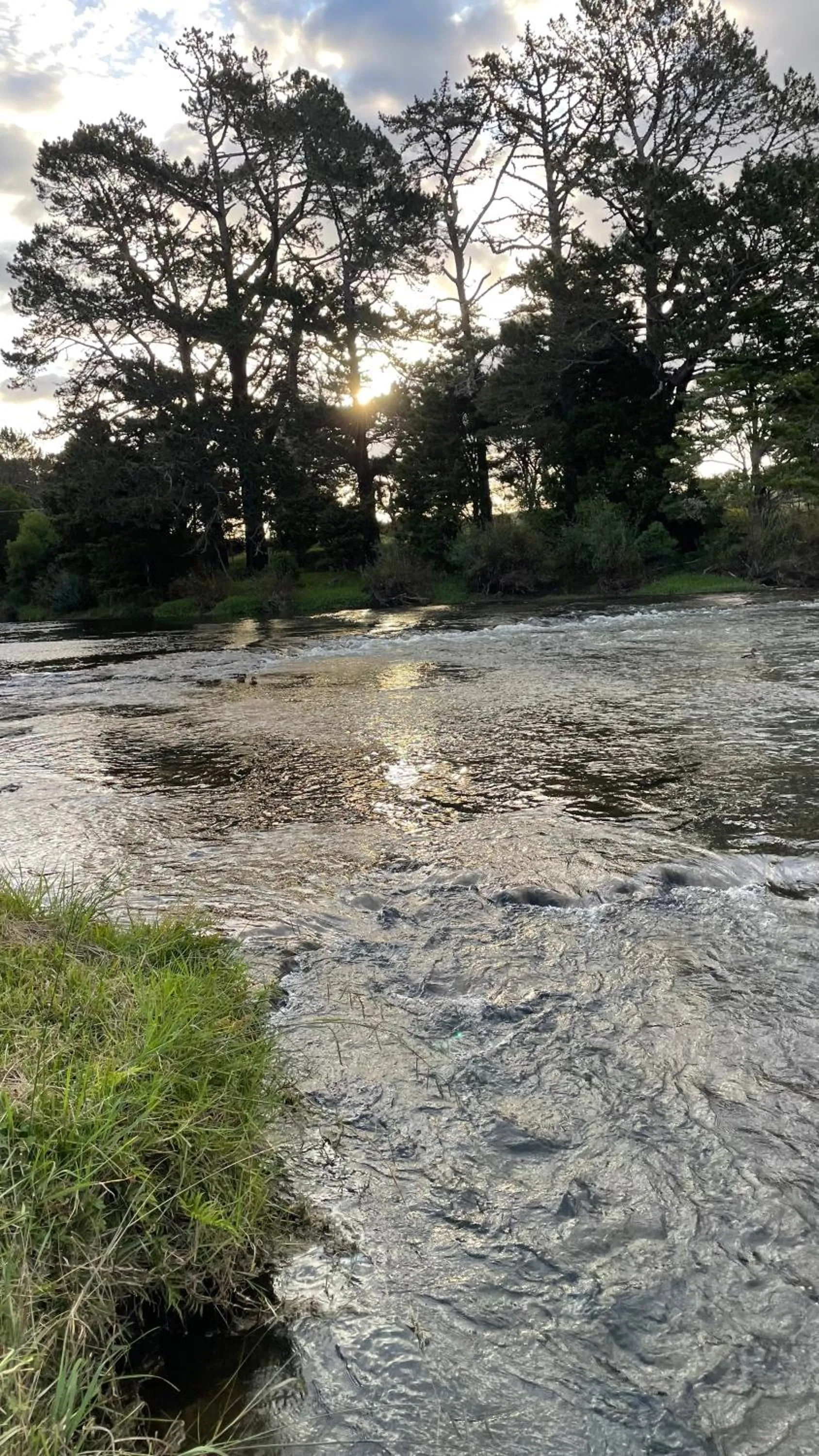 Natural landscape in Te Awa Lodge