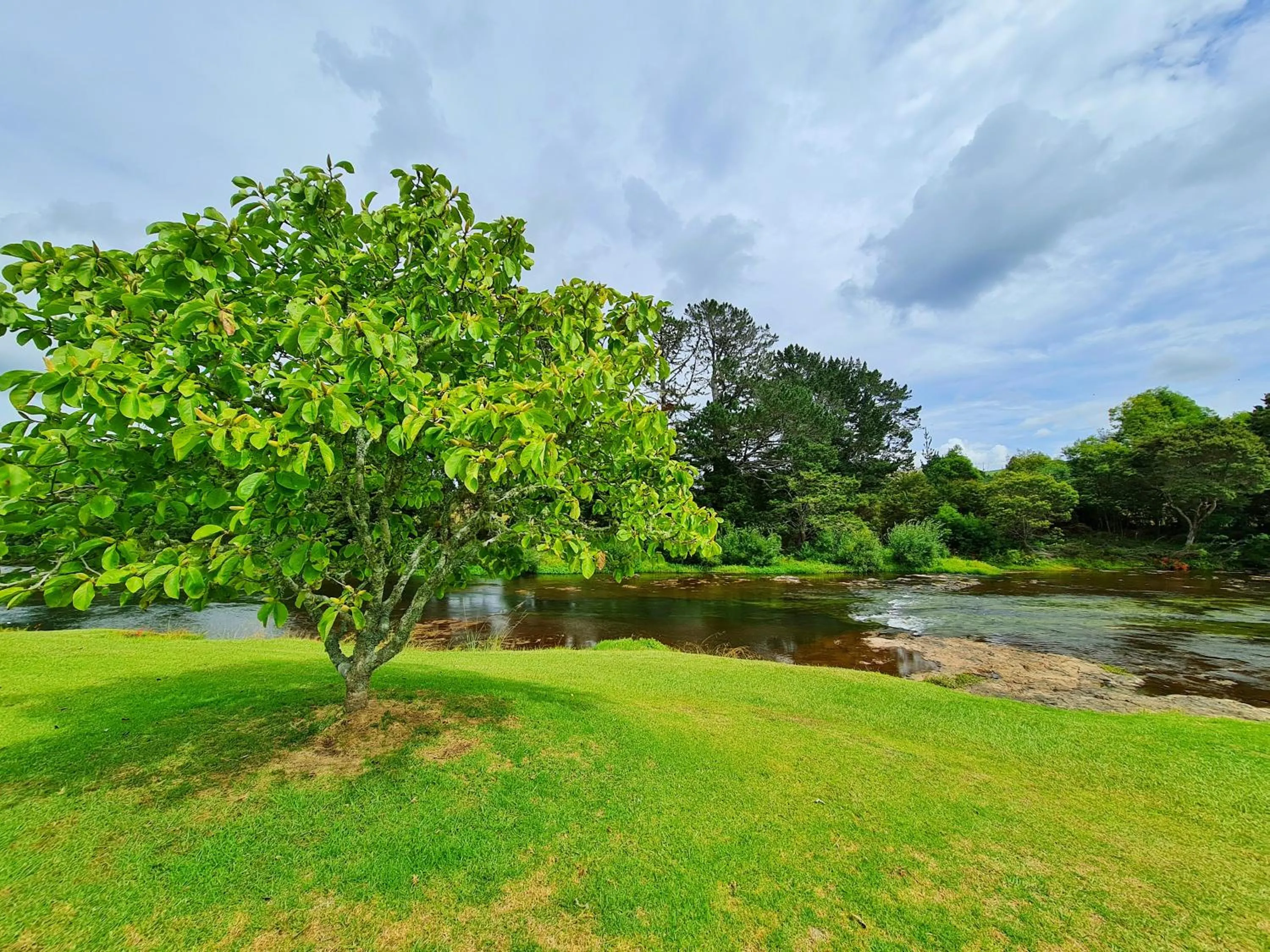 Garden in Te Awa Lodge