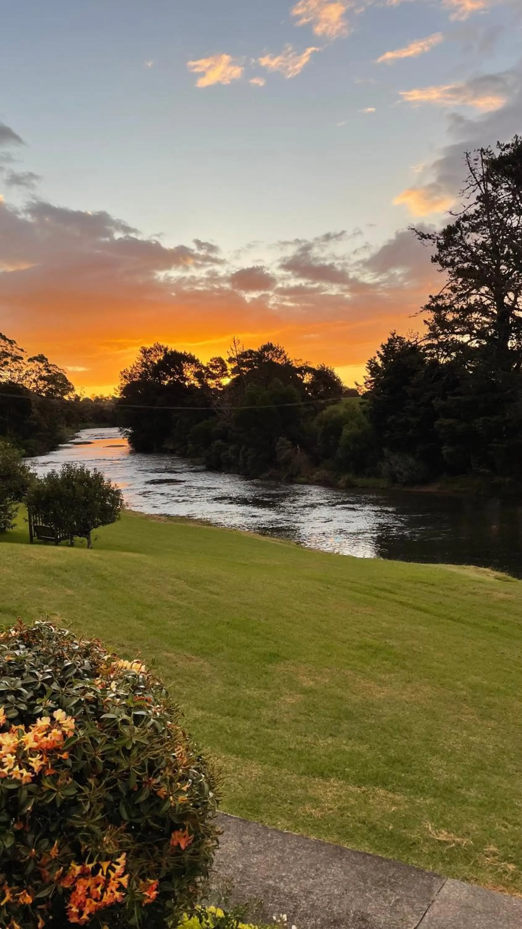 Natural landscape in Te Awa Lodge