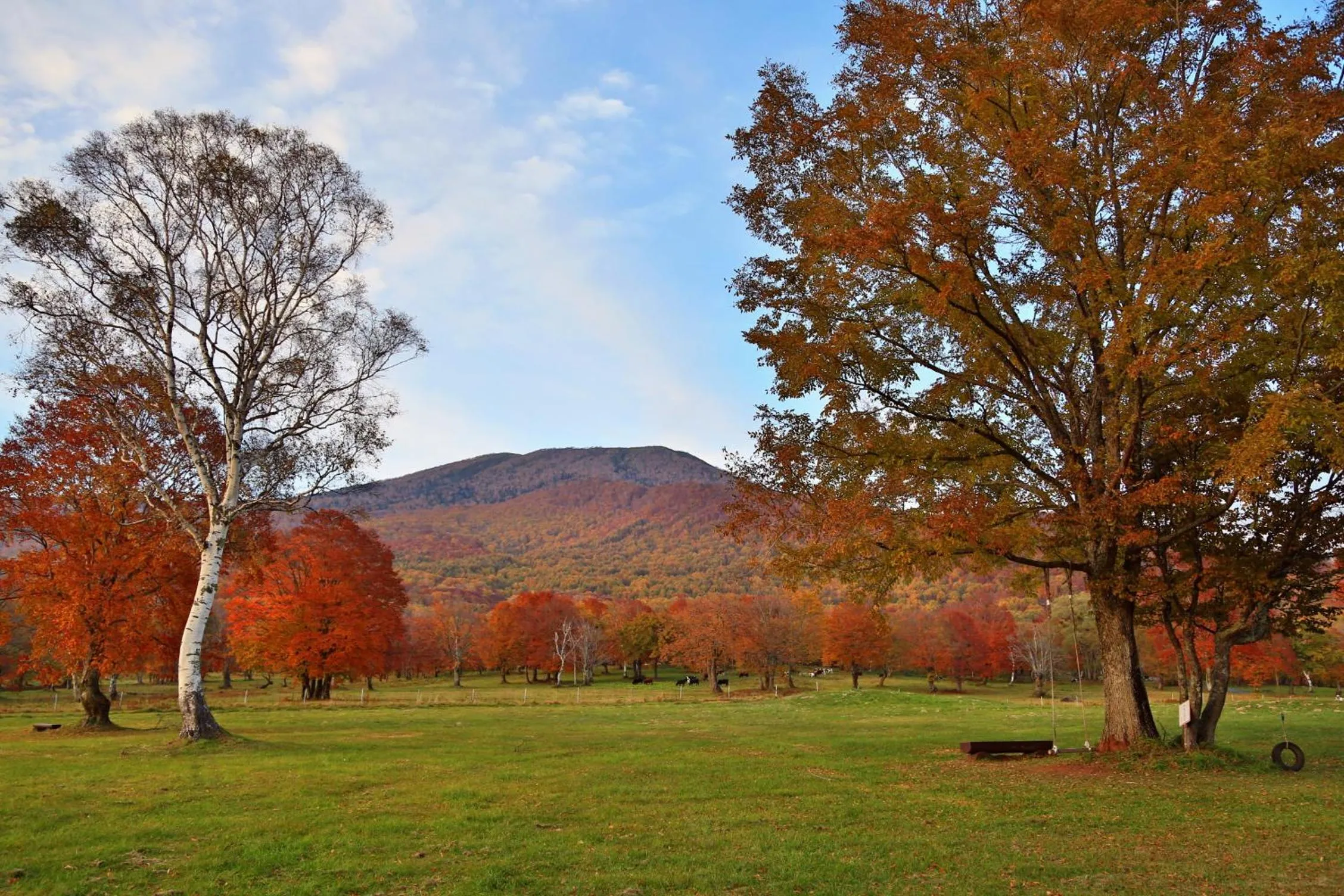 Natural landscape in Tabataya