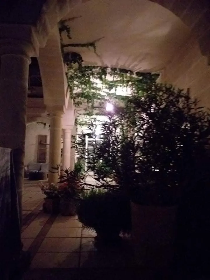 Patio in filobrocante