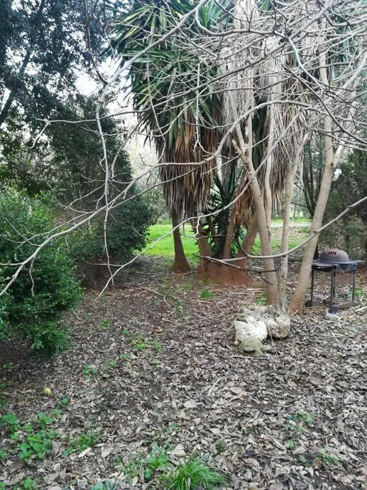 Garden in filobrocante