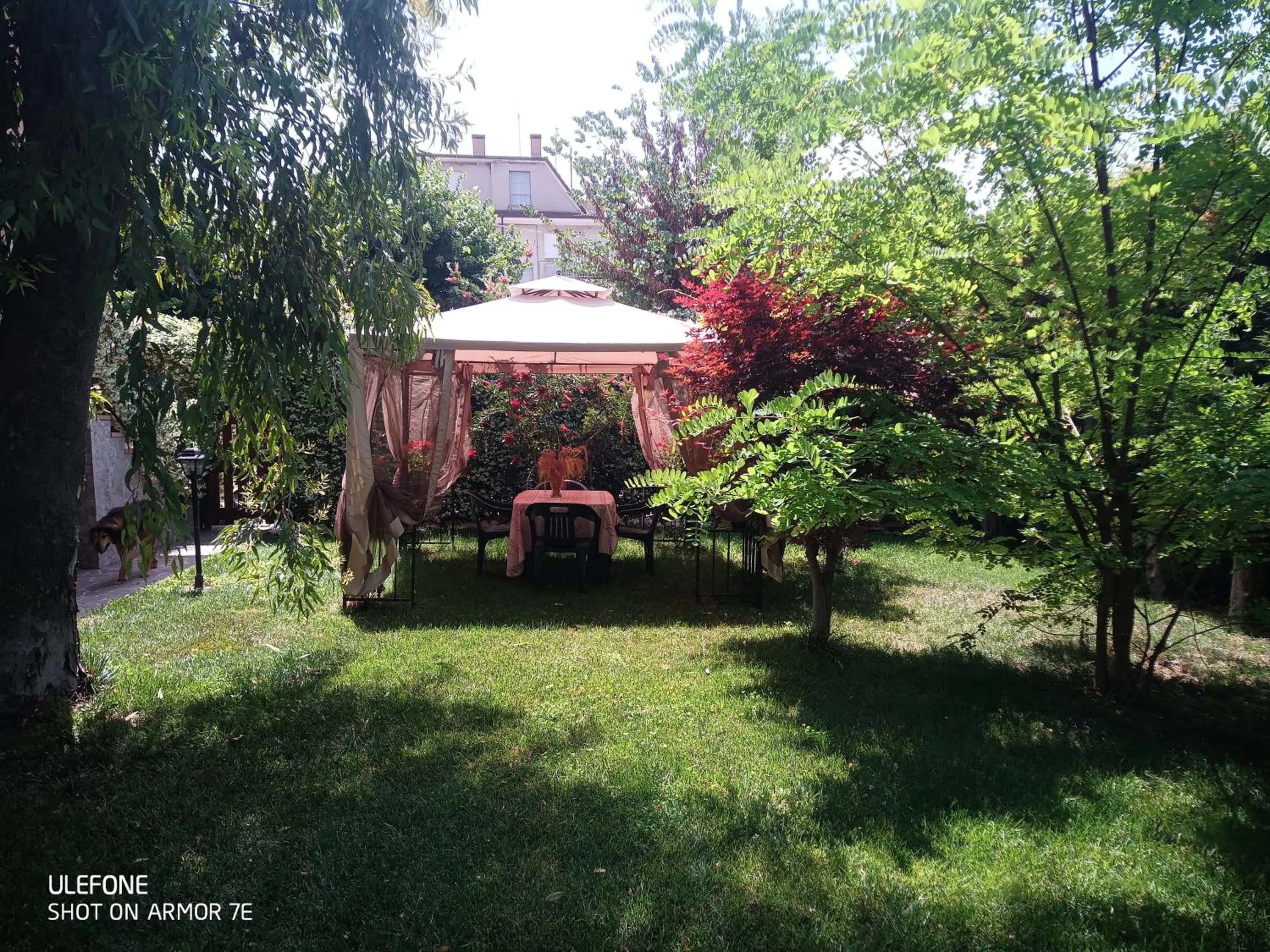 Garden in B&B La poeta