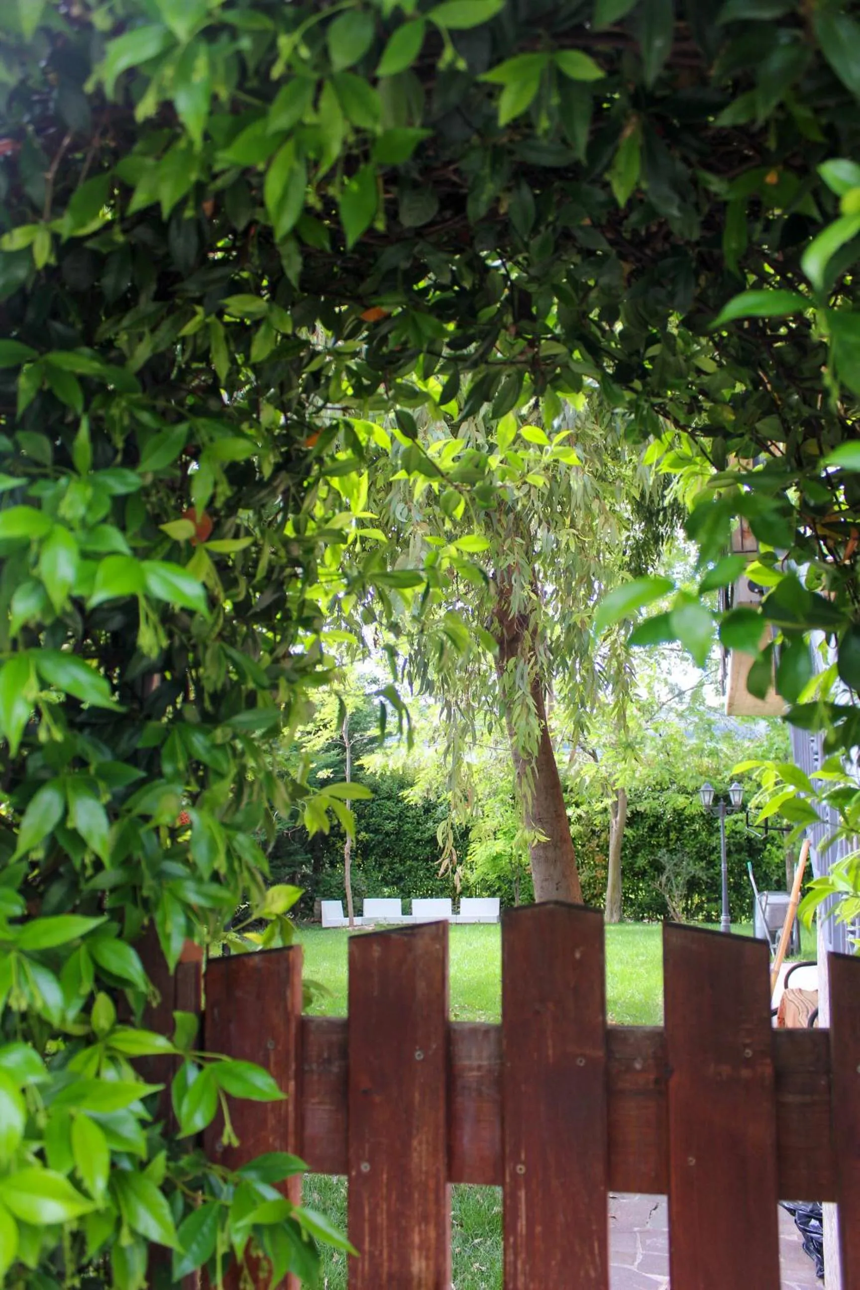 Garden in B&B La poeta