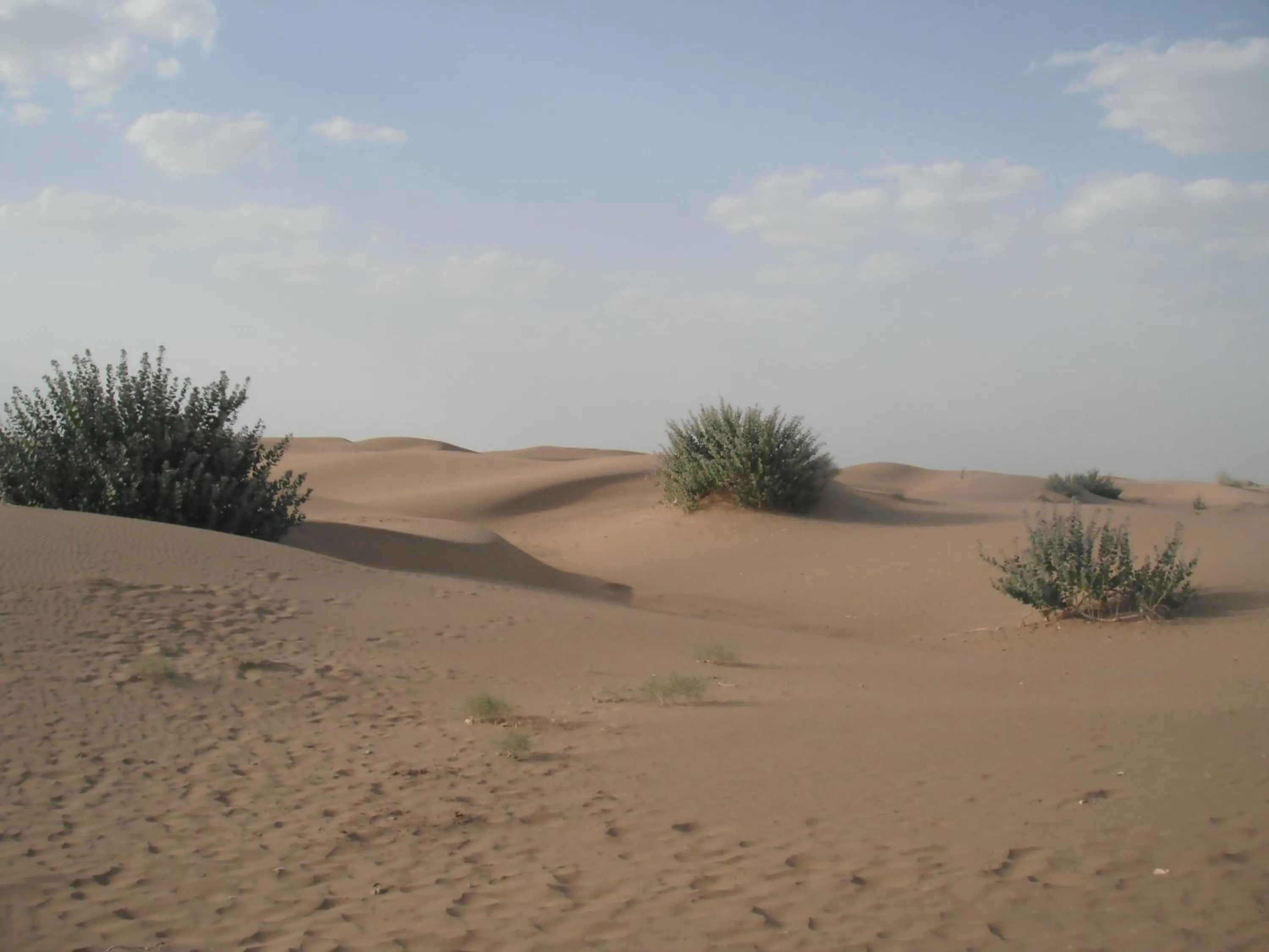 Activities in Gajanand Guest House