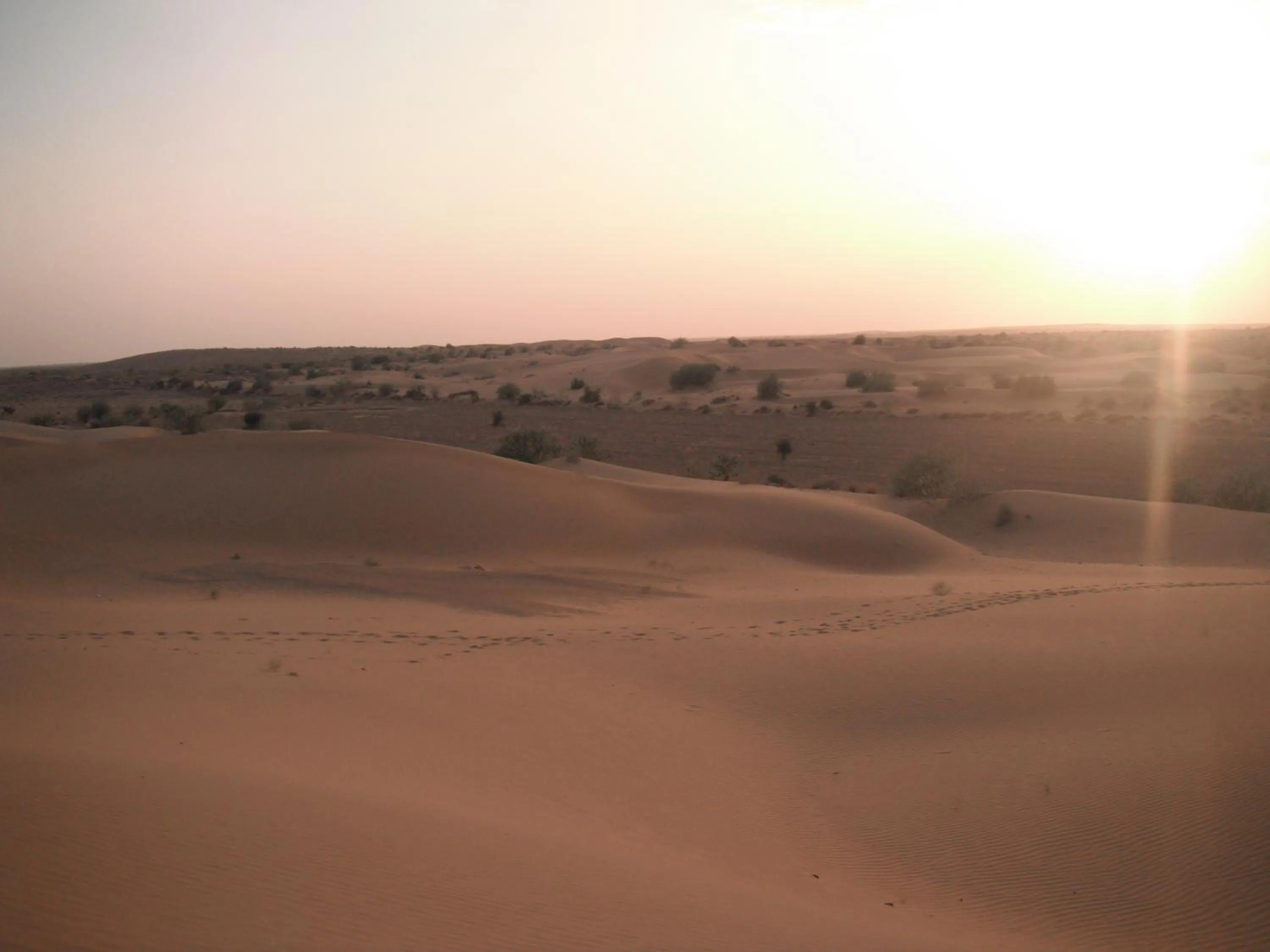 Activities in Gajanand Guest House