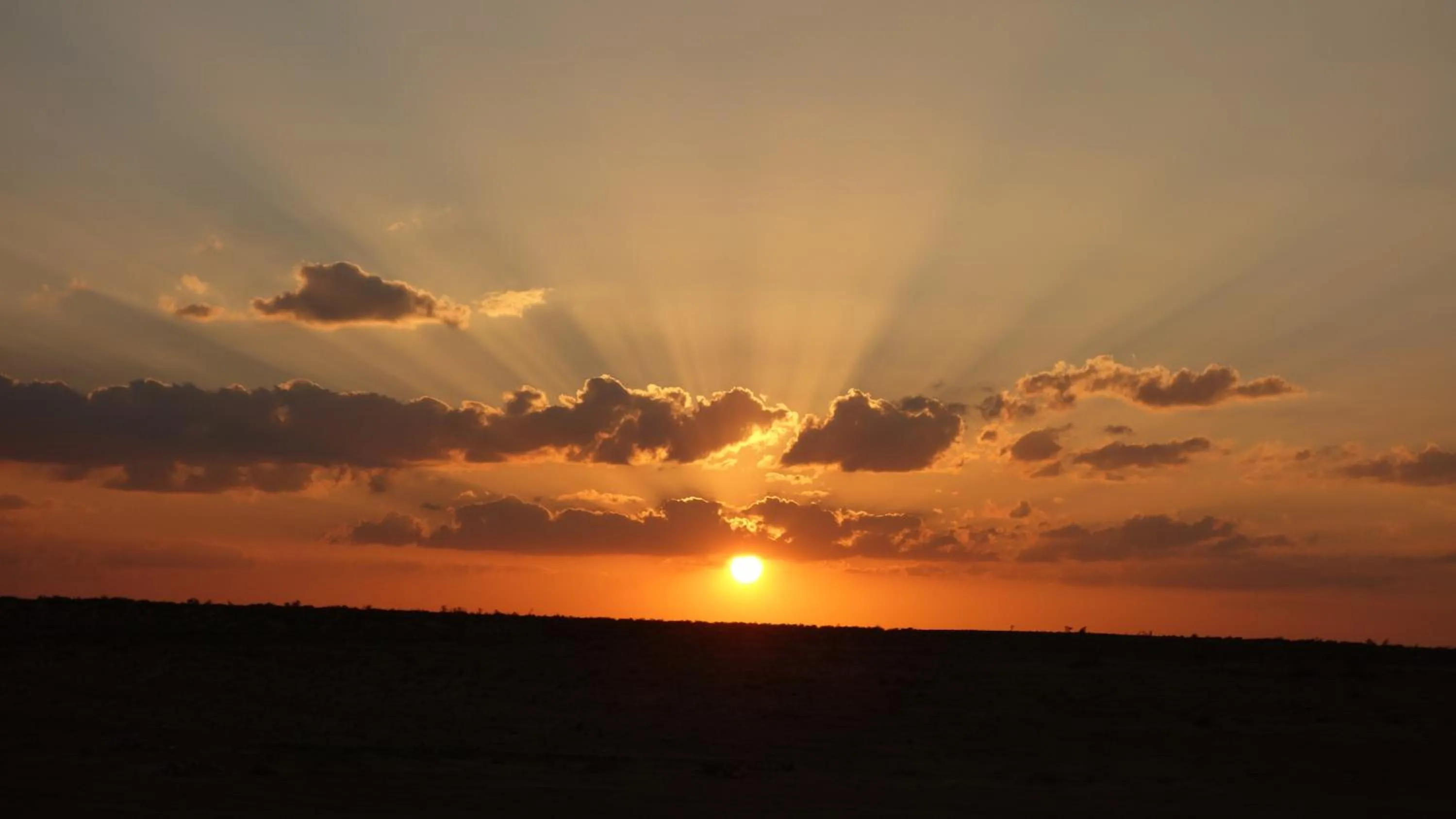 Activities in Gajanand Guest House