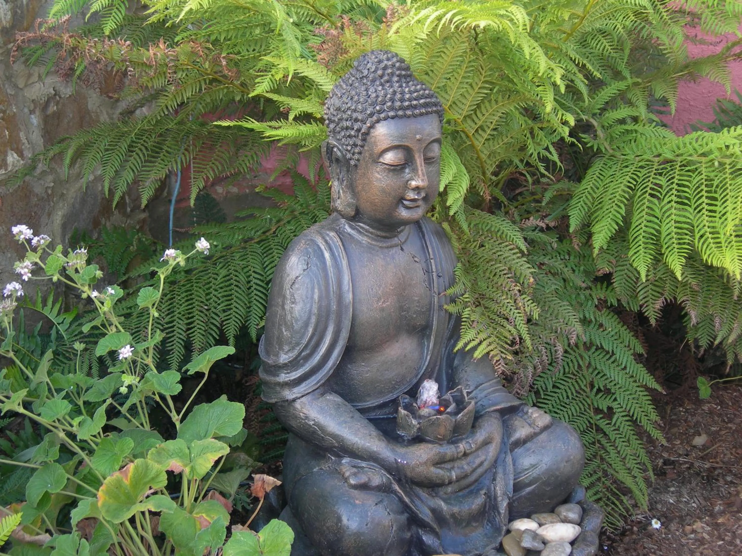 Garden in Platypus Park Country Retreat