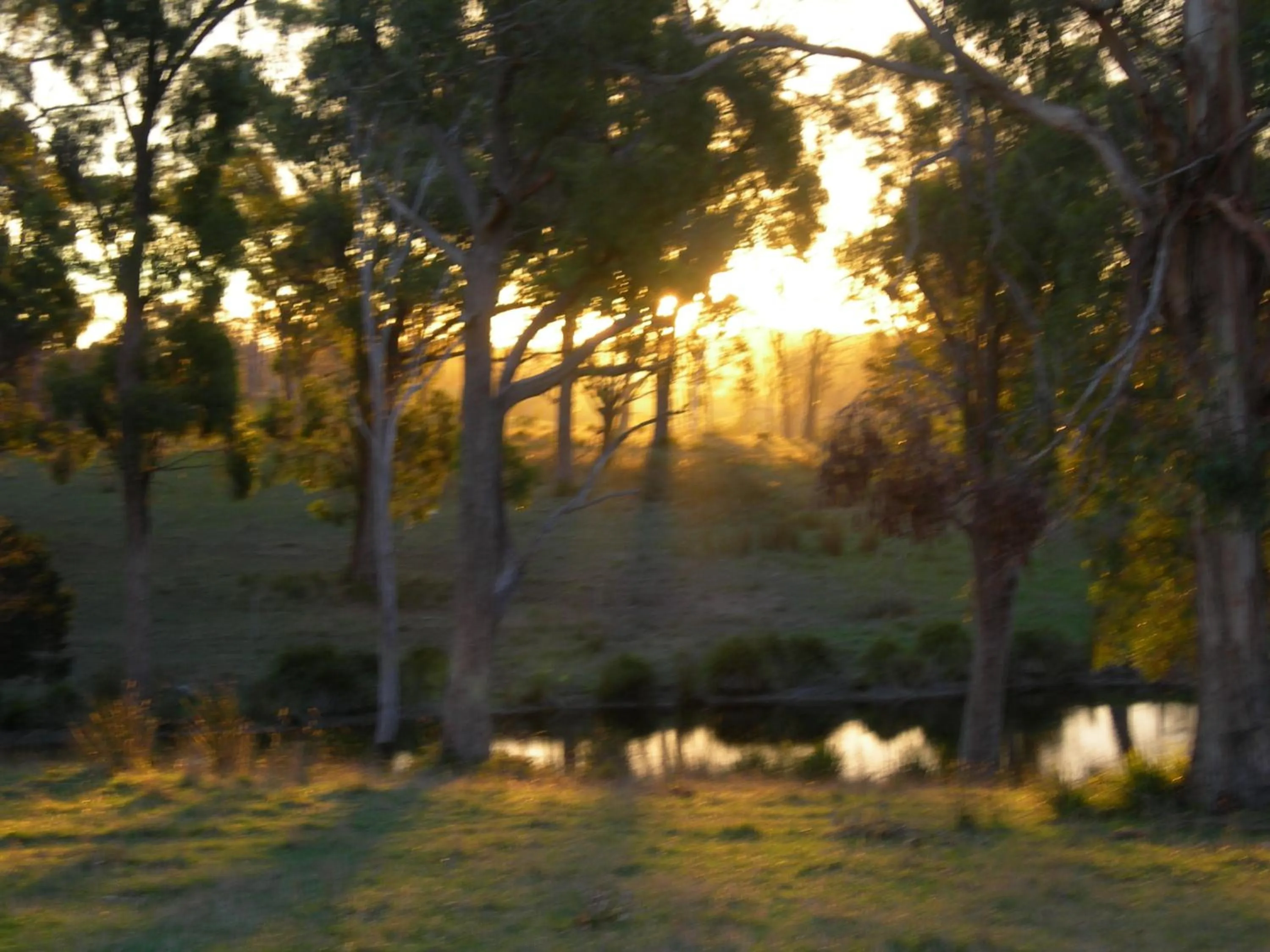 Area and facilities in Platypus Park Country Retreat