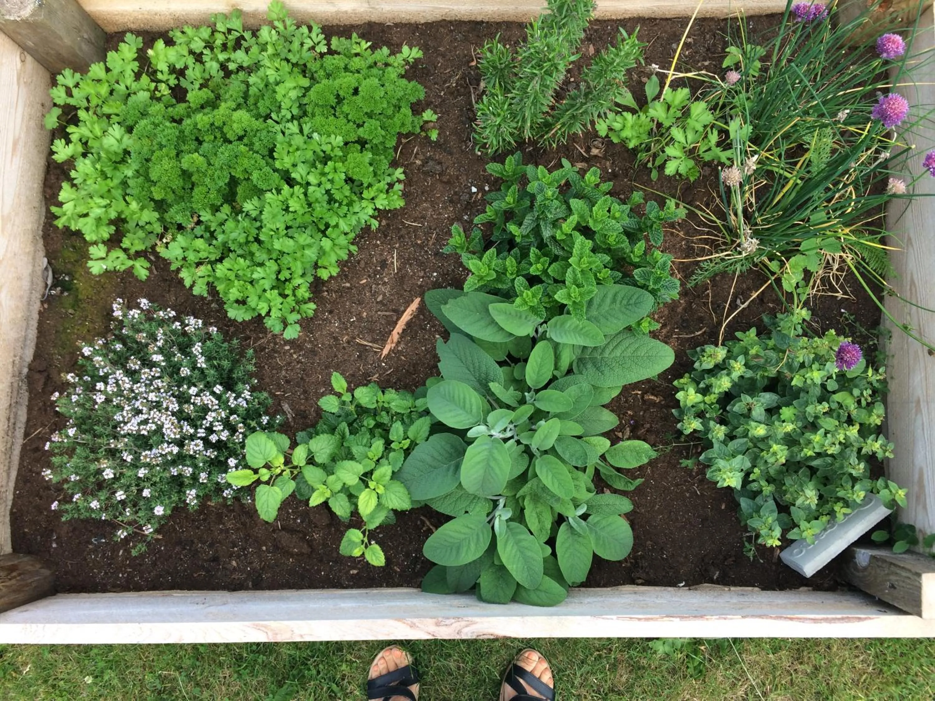 Garden in Ljungs Fem Rum