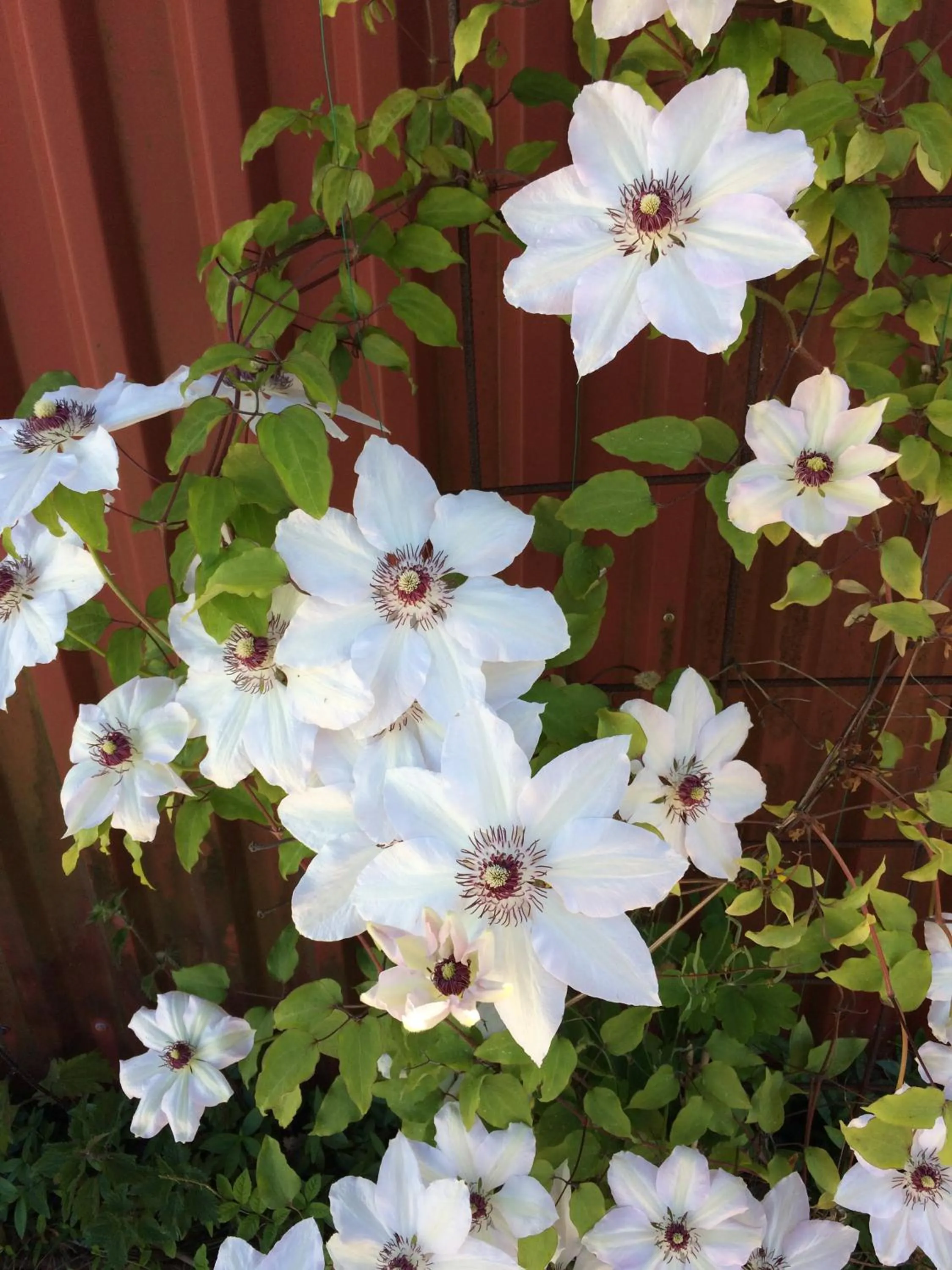 Decorative detail in Ljungs Fem Rum