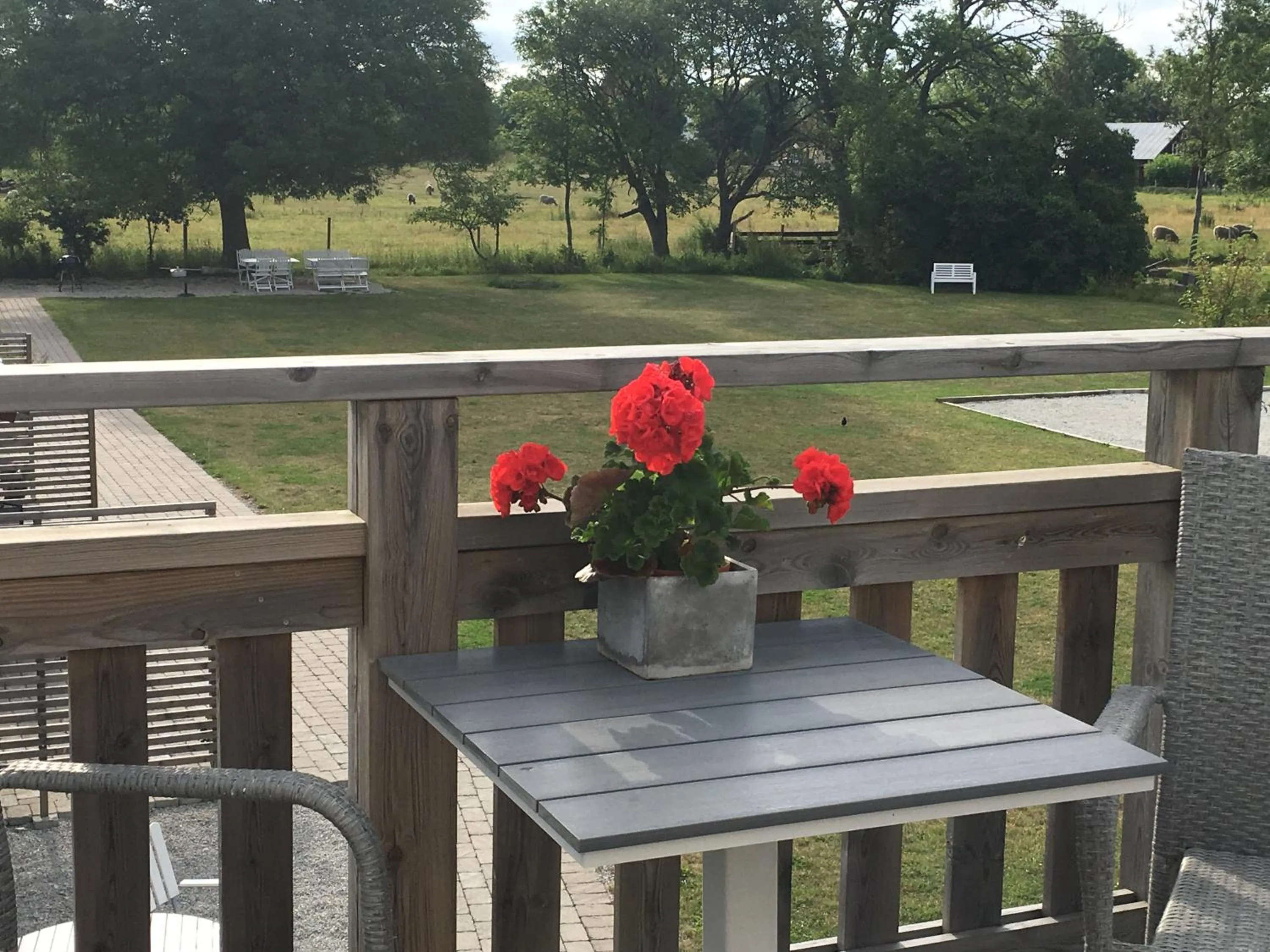 Inner courtyard view in Ljungs Fem Rum