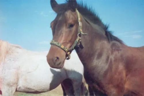 Other in Hotel Kapsalis