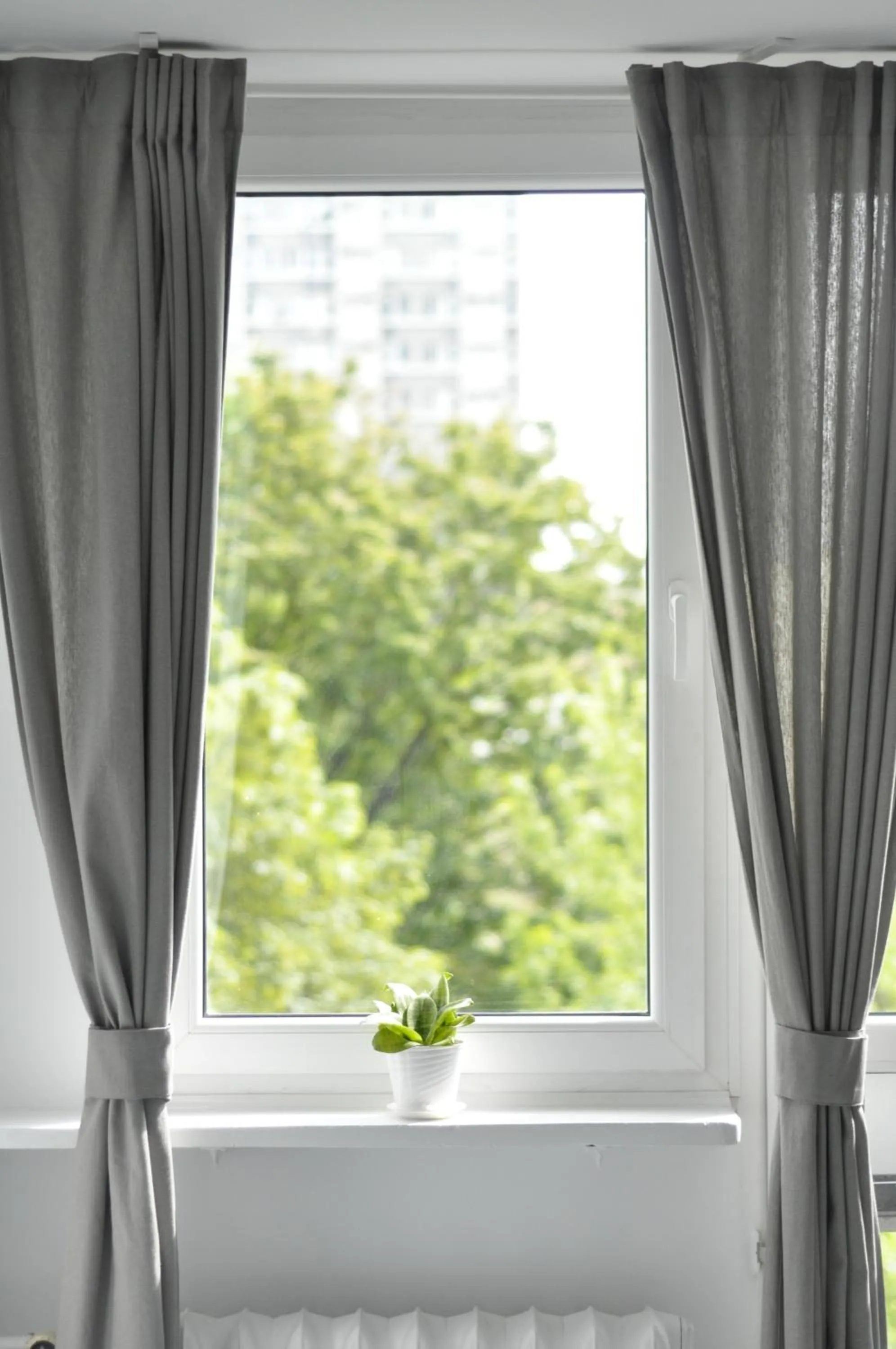 Garden view, View in Mario Rooms