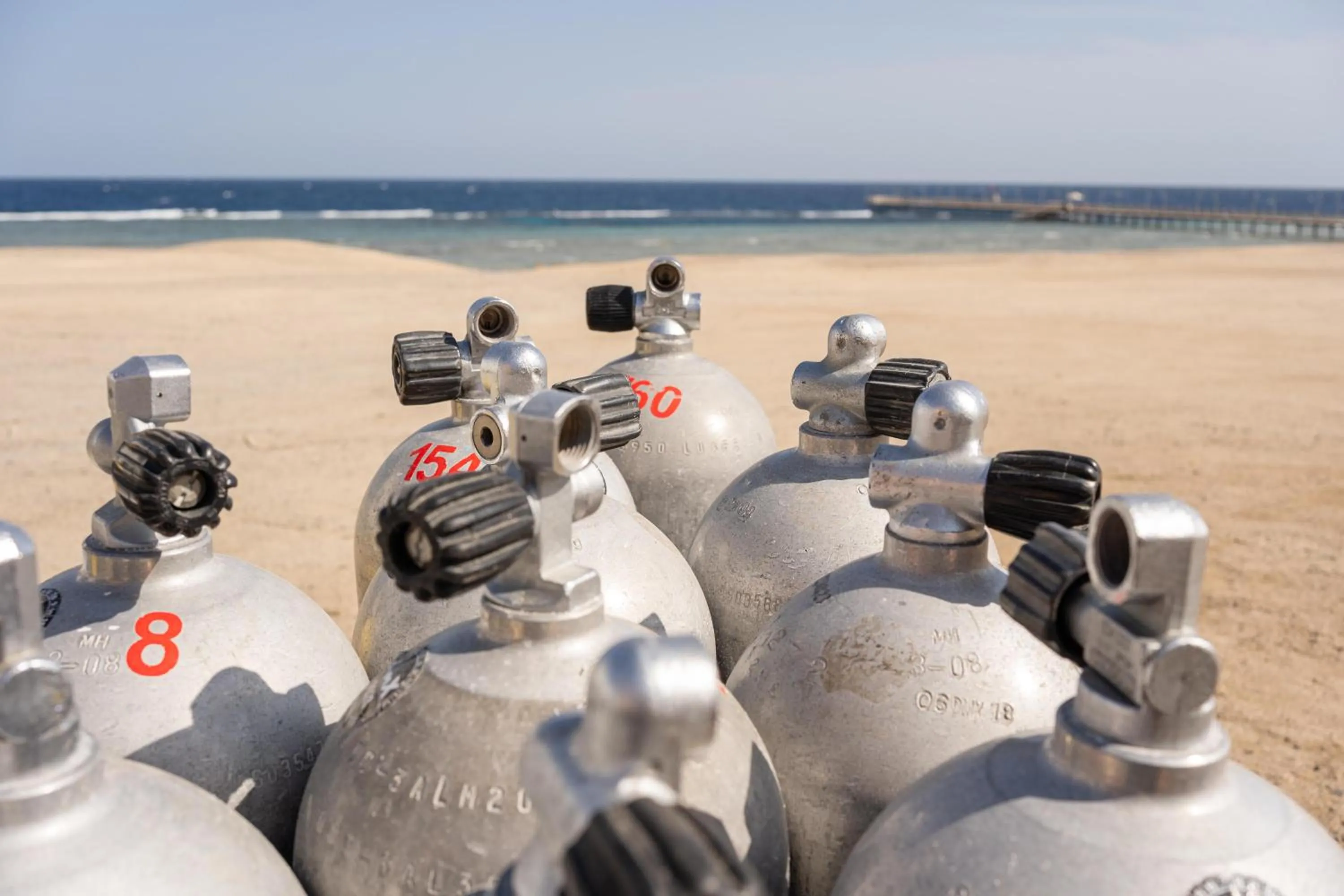 Beach in Malikia Resort Abu Dabbab