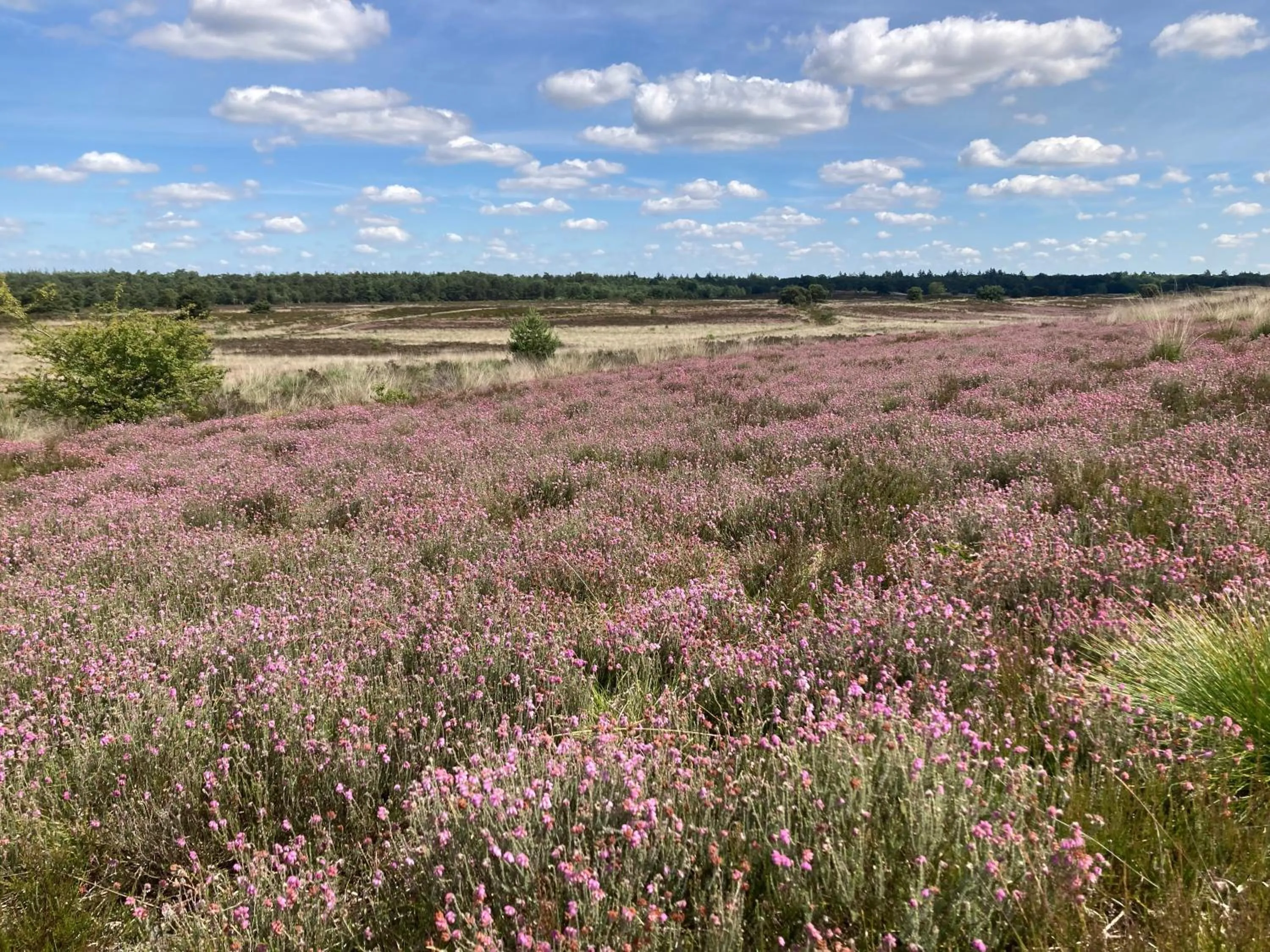 Area and facilities in B&B Porcini