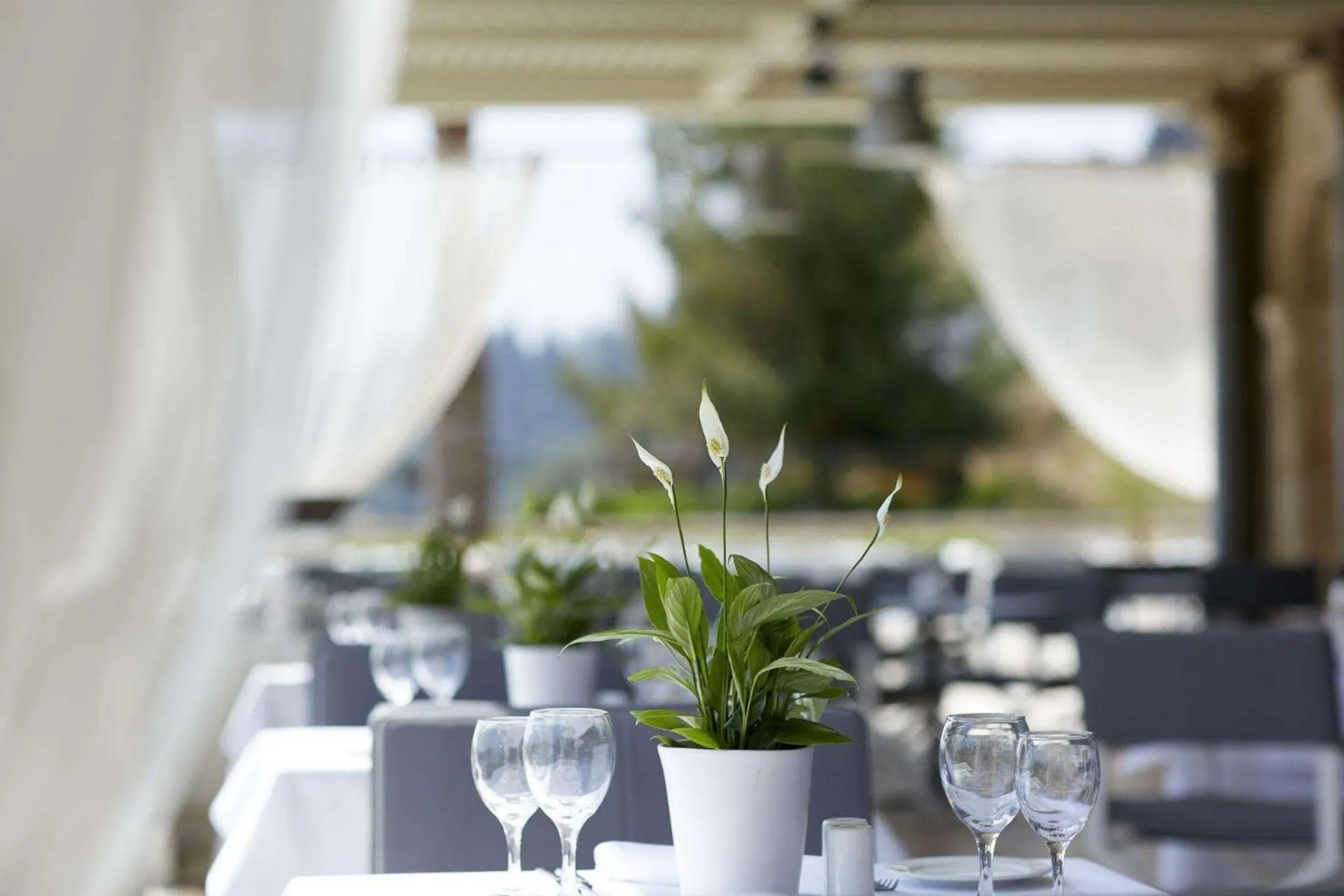 Restaurant/places to eat in Mon Repos Palace - Adults Only