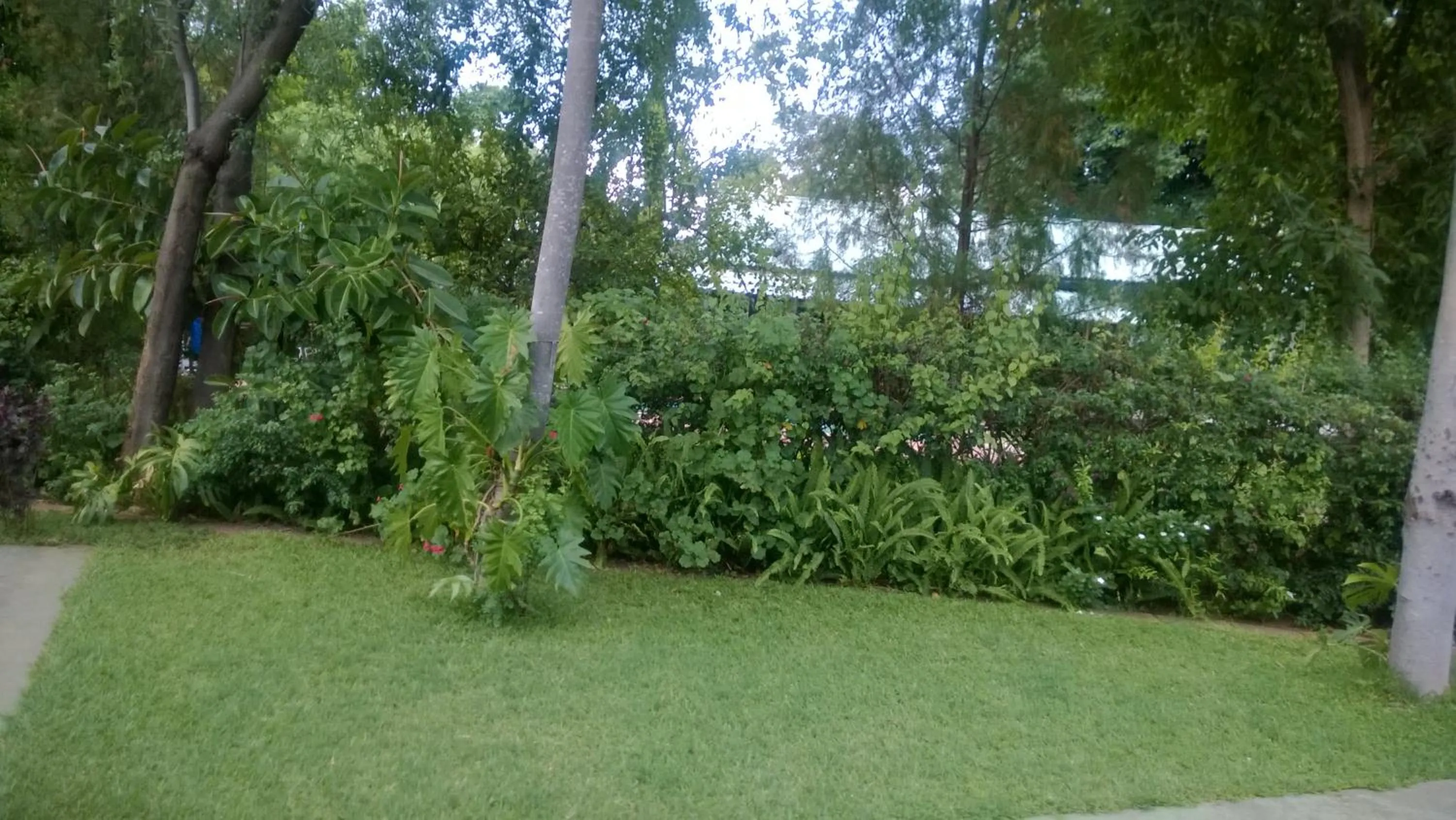 Garden view in Gloria's Bed and Breakfast