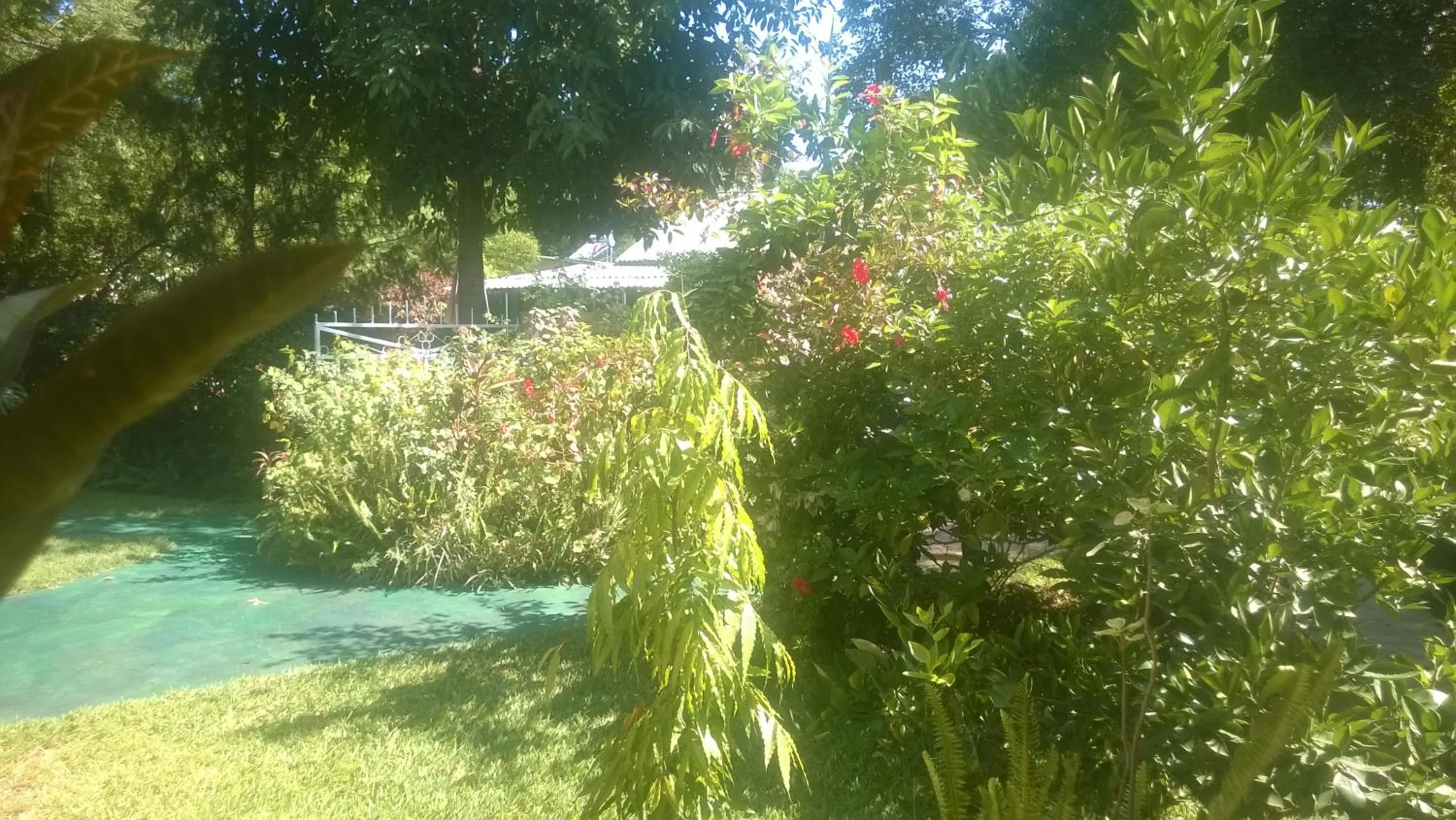 Garden in Gloria's Bed and Breakfast