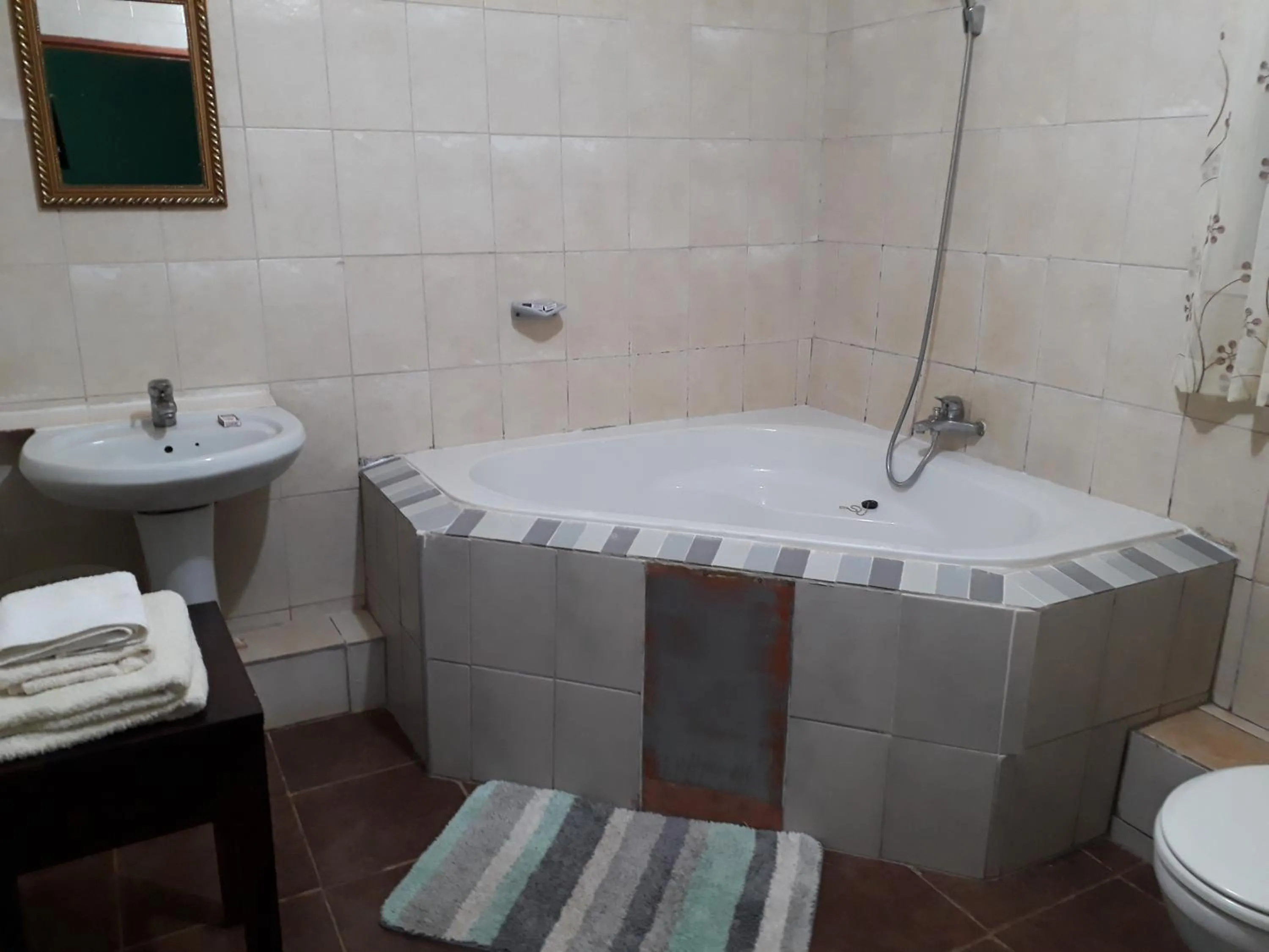 Toilet in Gloria's Bed and Breakfast