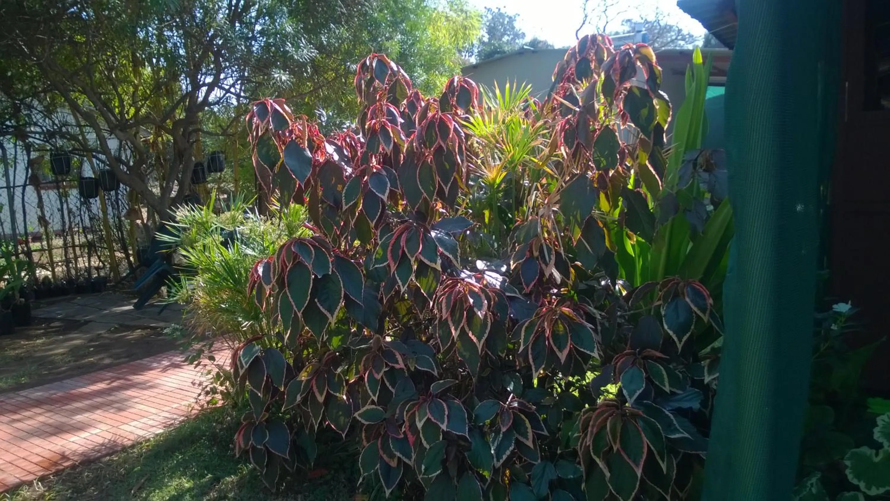 Natural landscape in Gloria's Bed and Breakfast