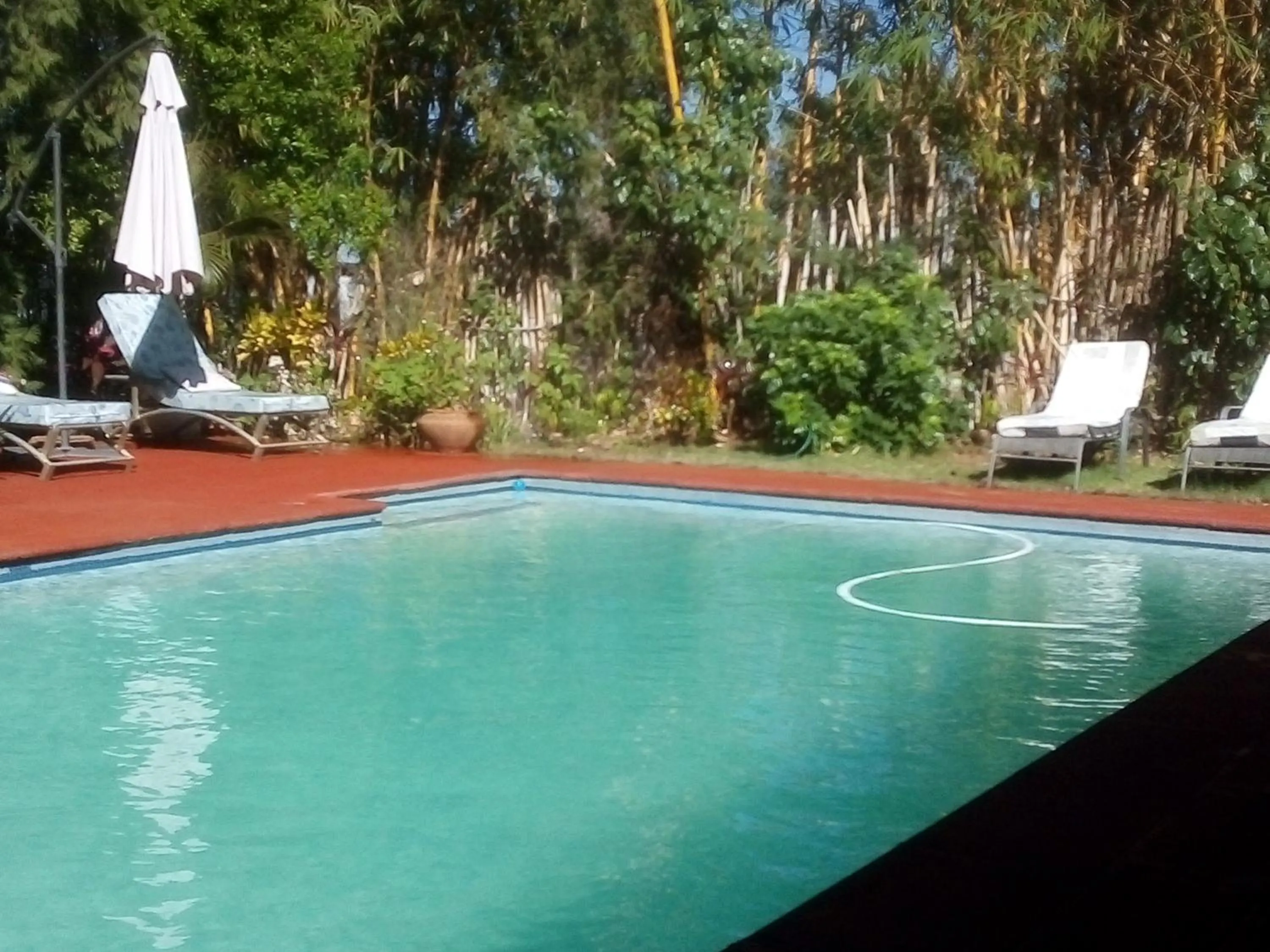 Pool view in Gloria's Bed and Breakfast