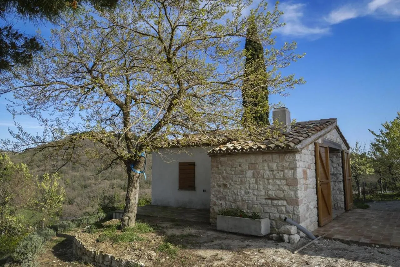 Property building in Massignano 116