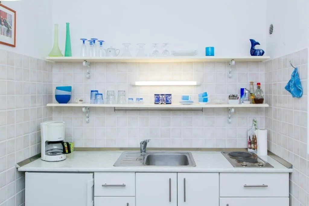 Kitchen or kitchenette in Plavi Žal Apartment