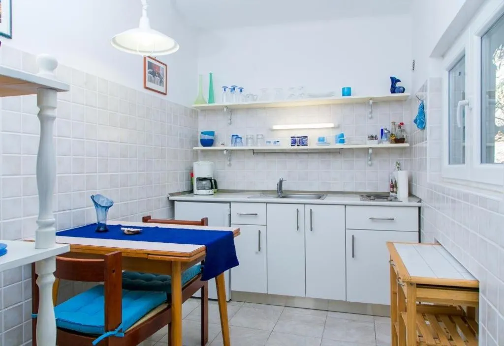 Kitchen or kitchenette in Plavi Žal Apartment