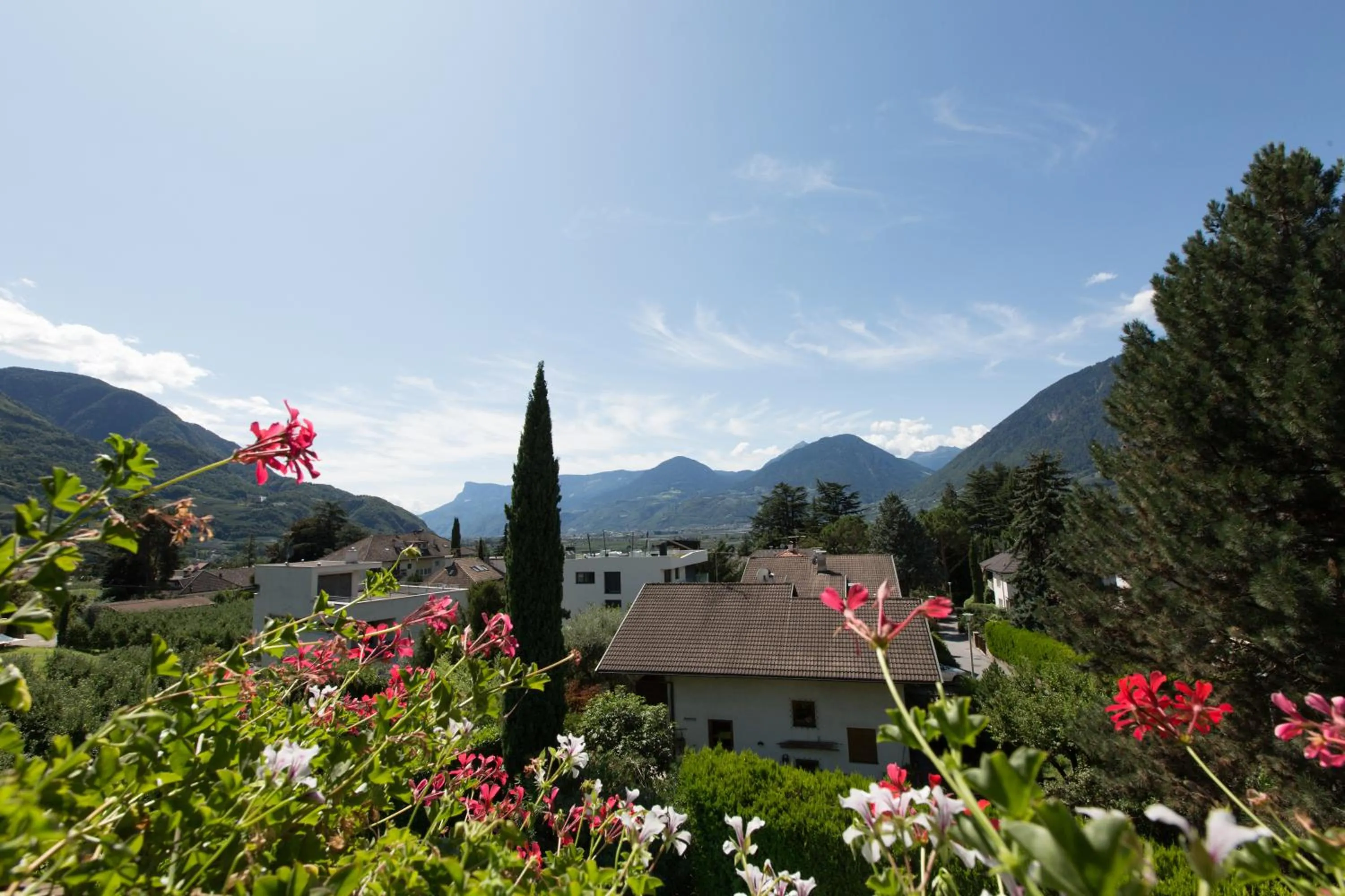 Mountain view in Pension Sankt Urban