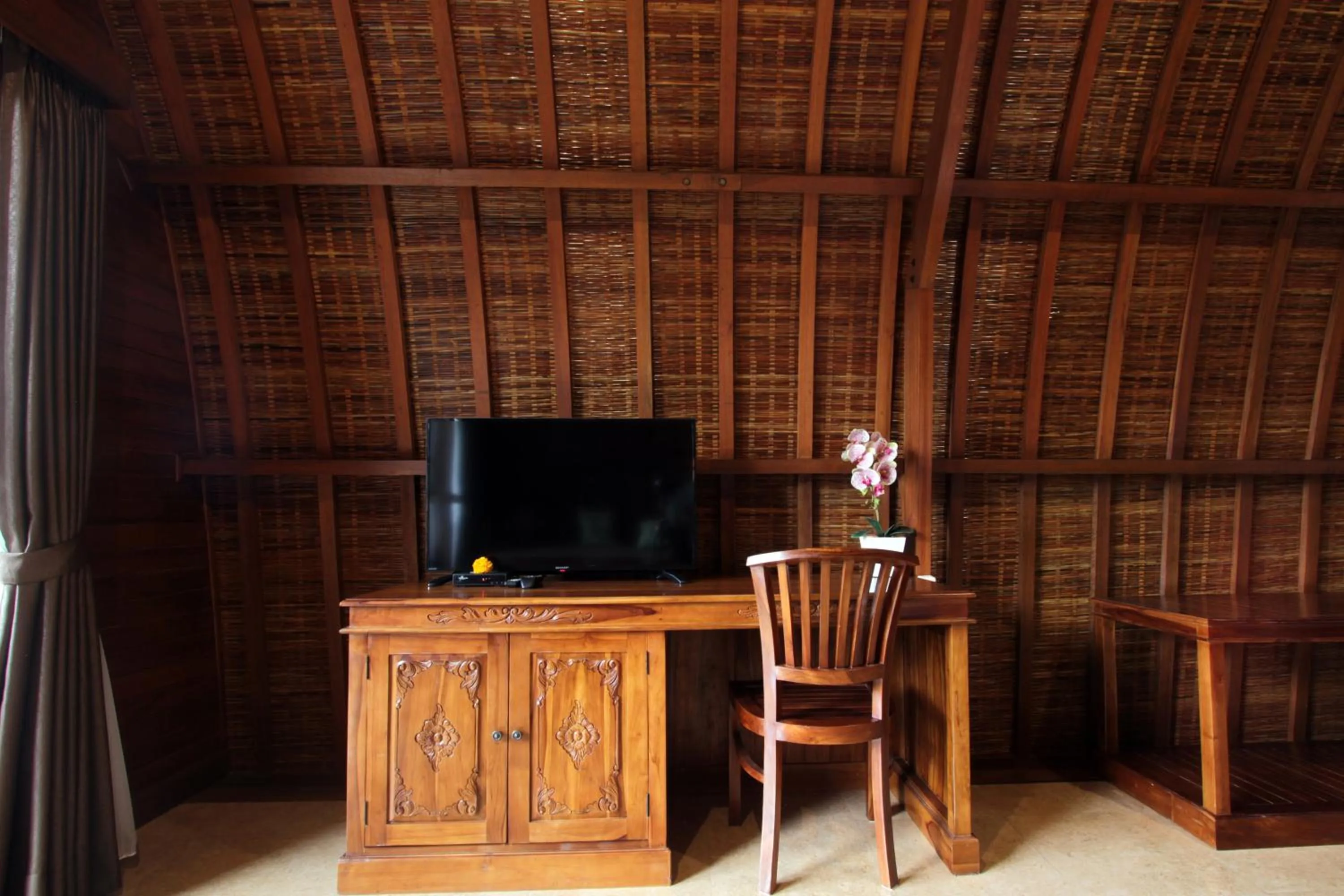 TV and multimedia in Pondok Naya Ubud