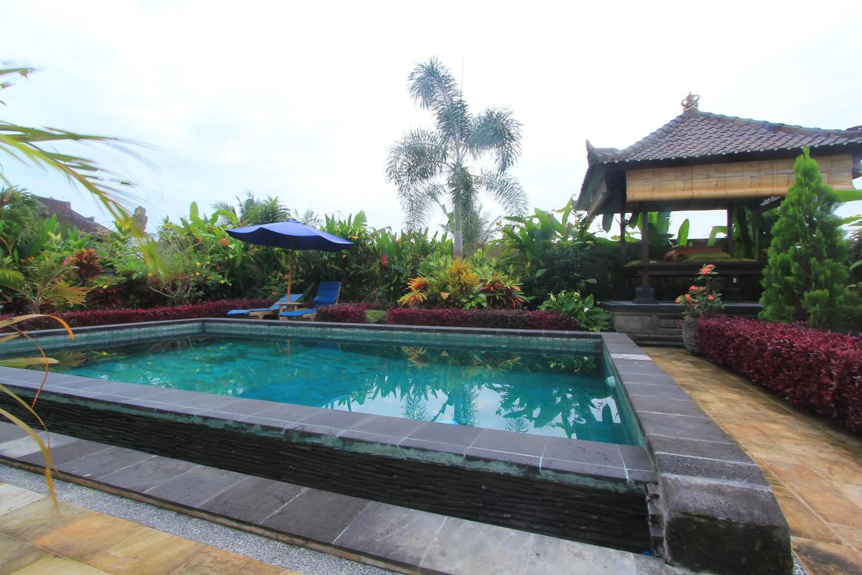 Swimming pool in Pondok Naya Ubud