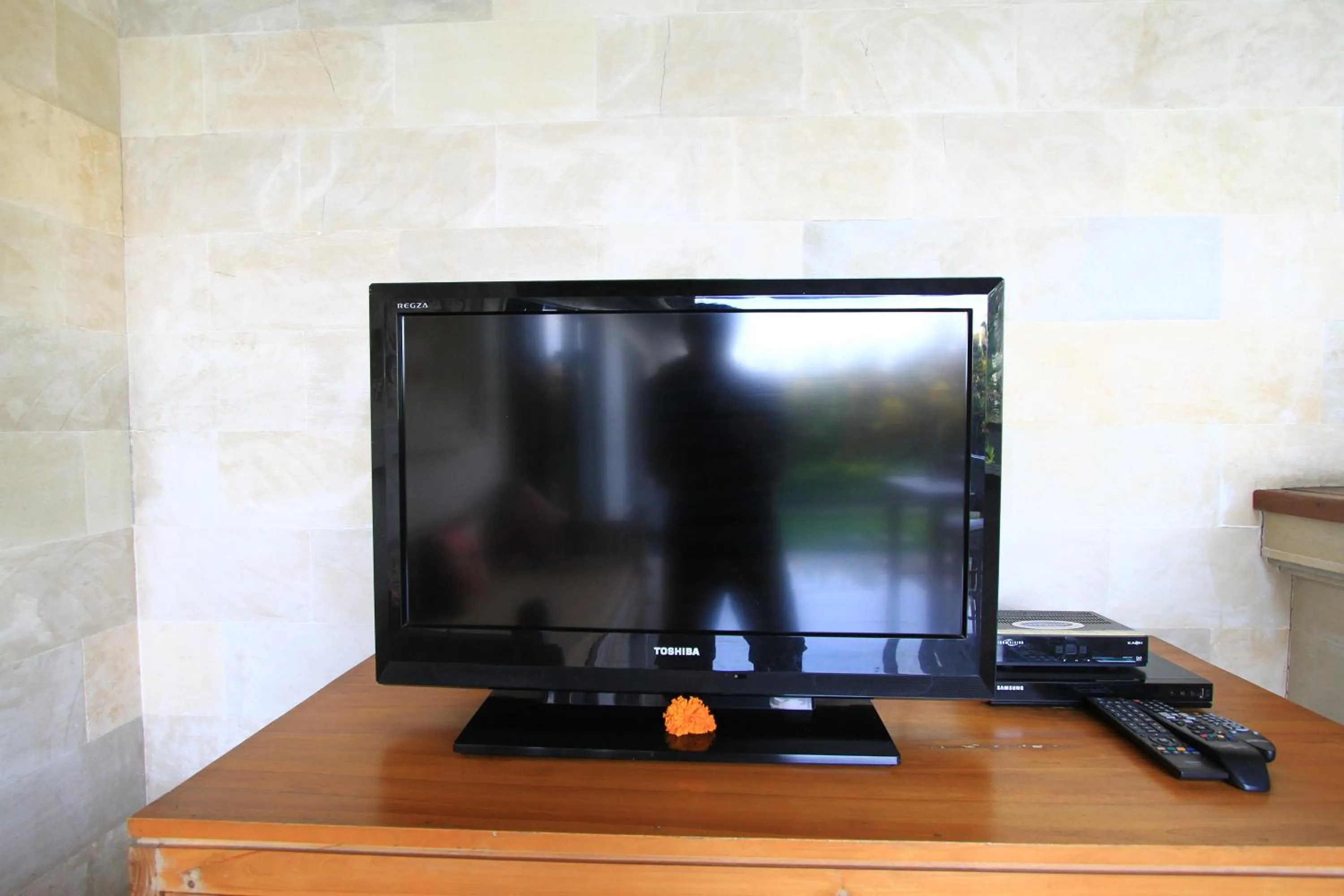 TV and multimedia in Pondok Naya Ubud