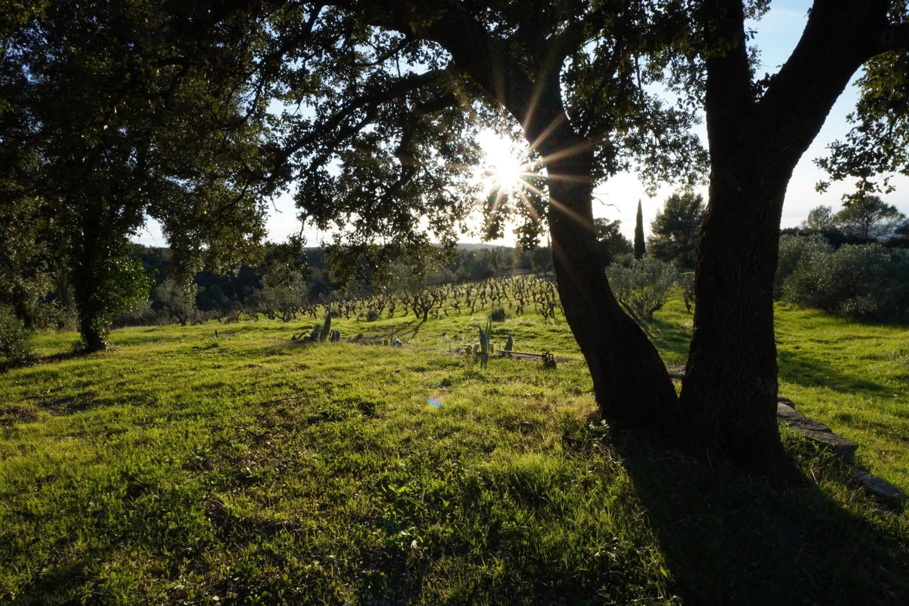 Summer in Maison Catalina