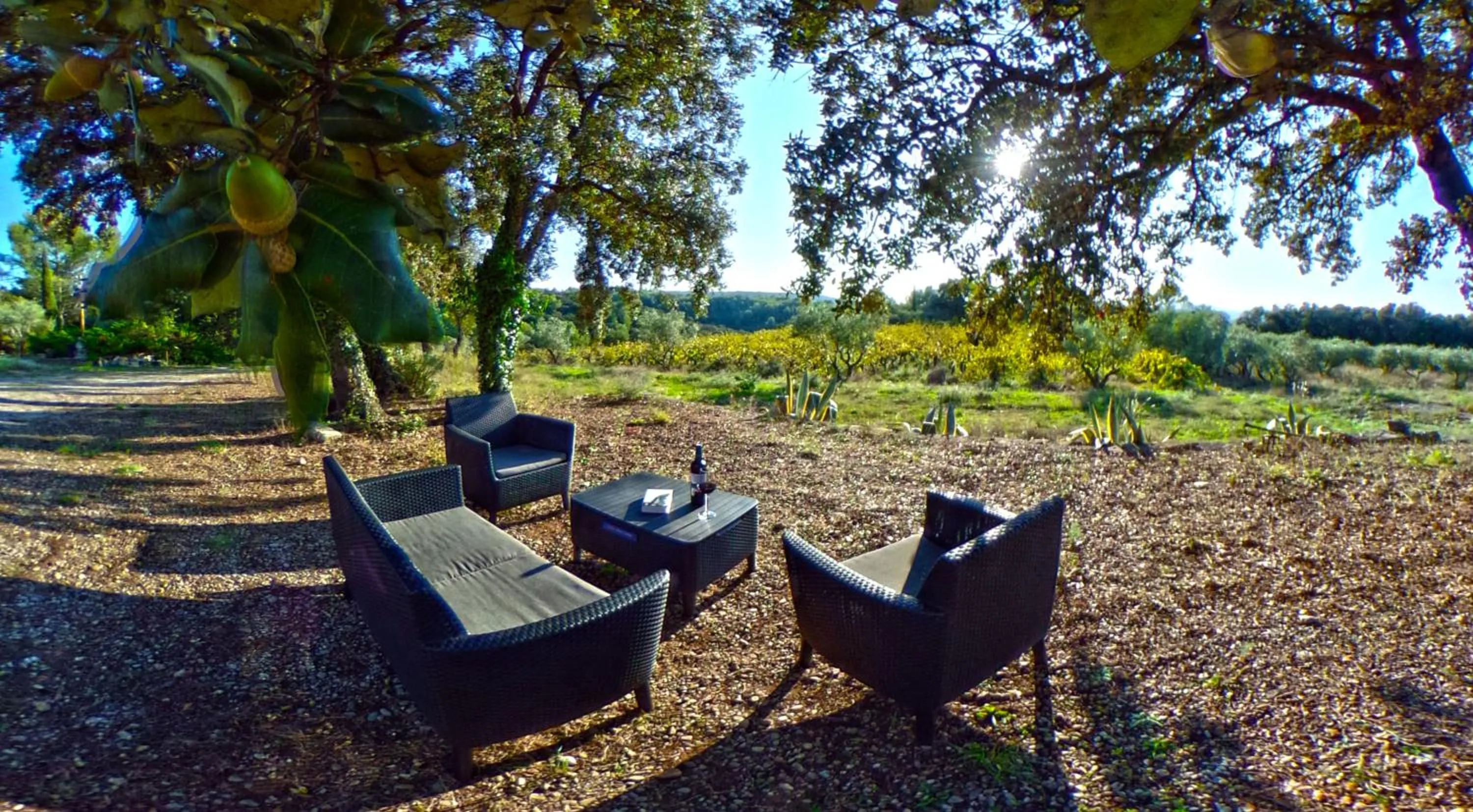 Lounge or bar in Maison Catalina