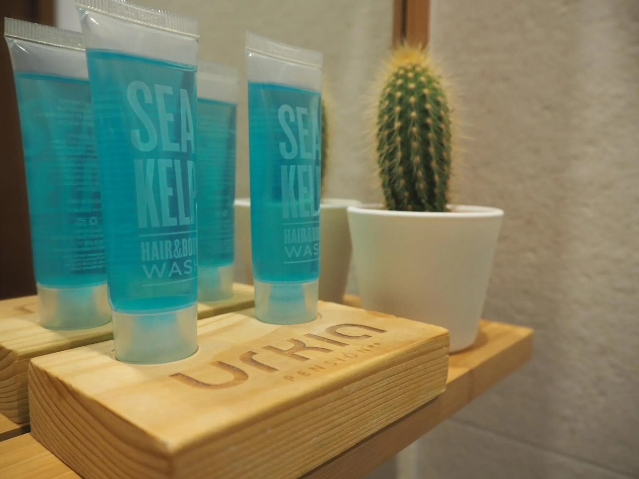 Bathroom in Pensión Urkia