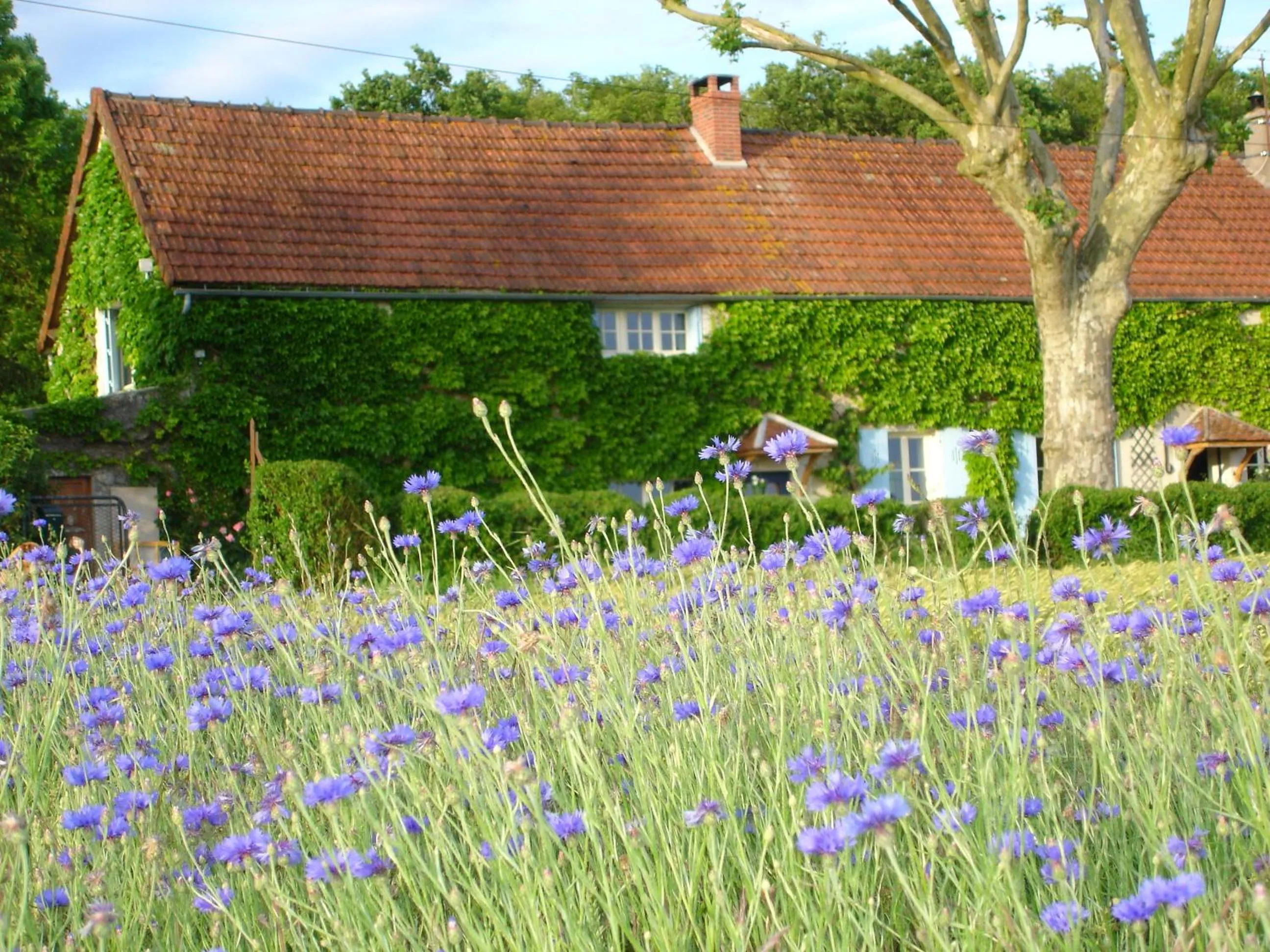 Auberge de la Tuilerie