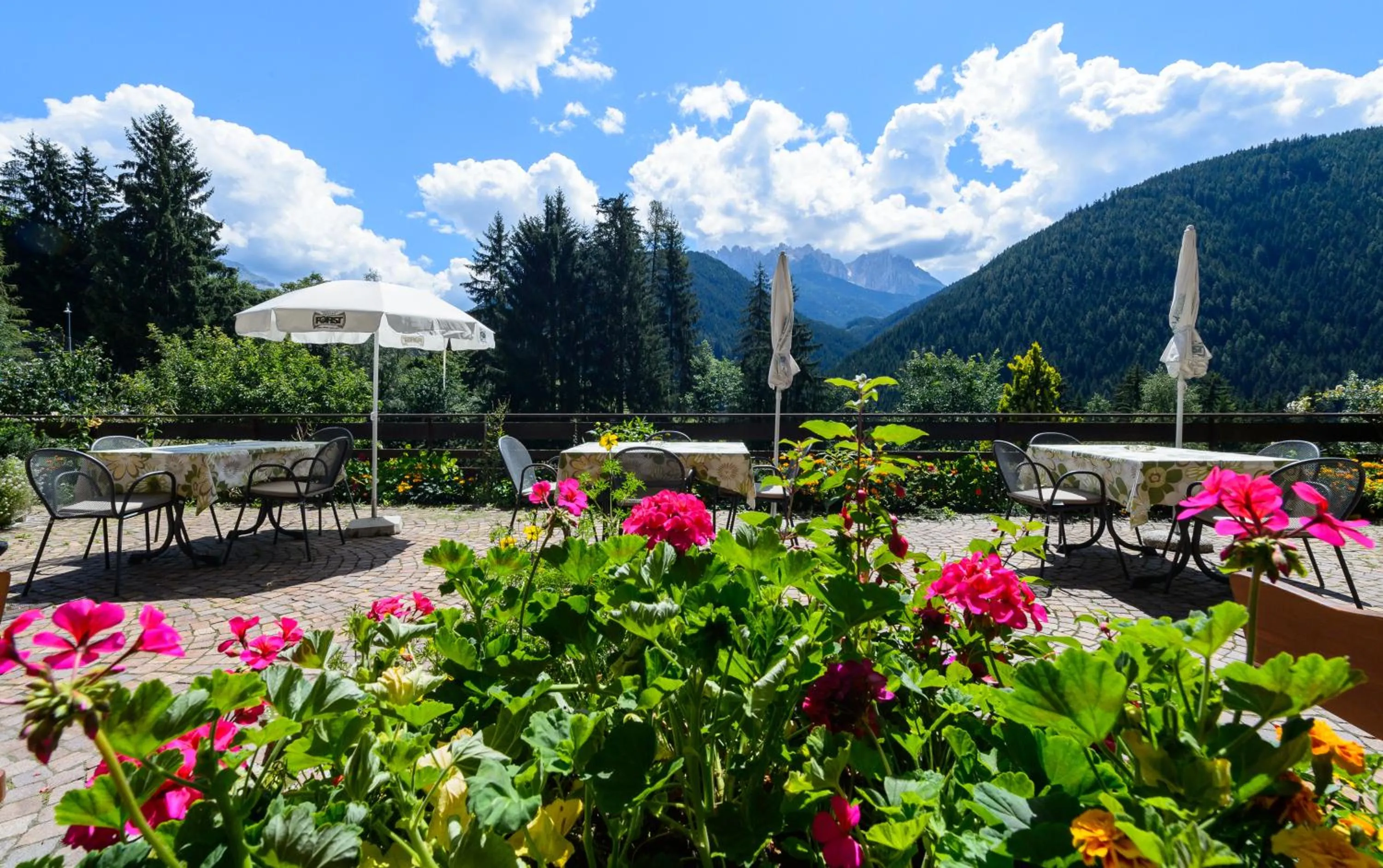 Landmark view in Aktiv Hotel Schönwald