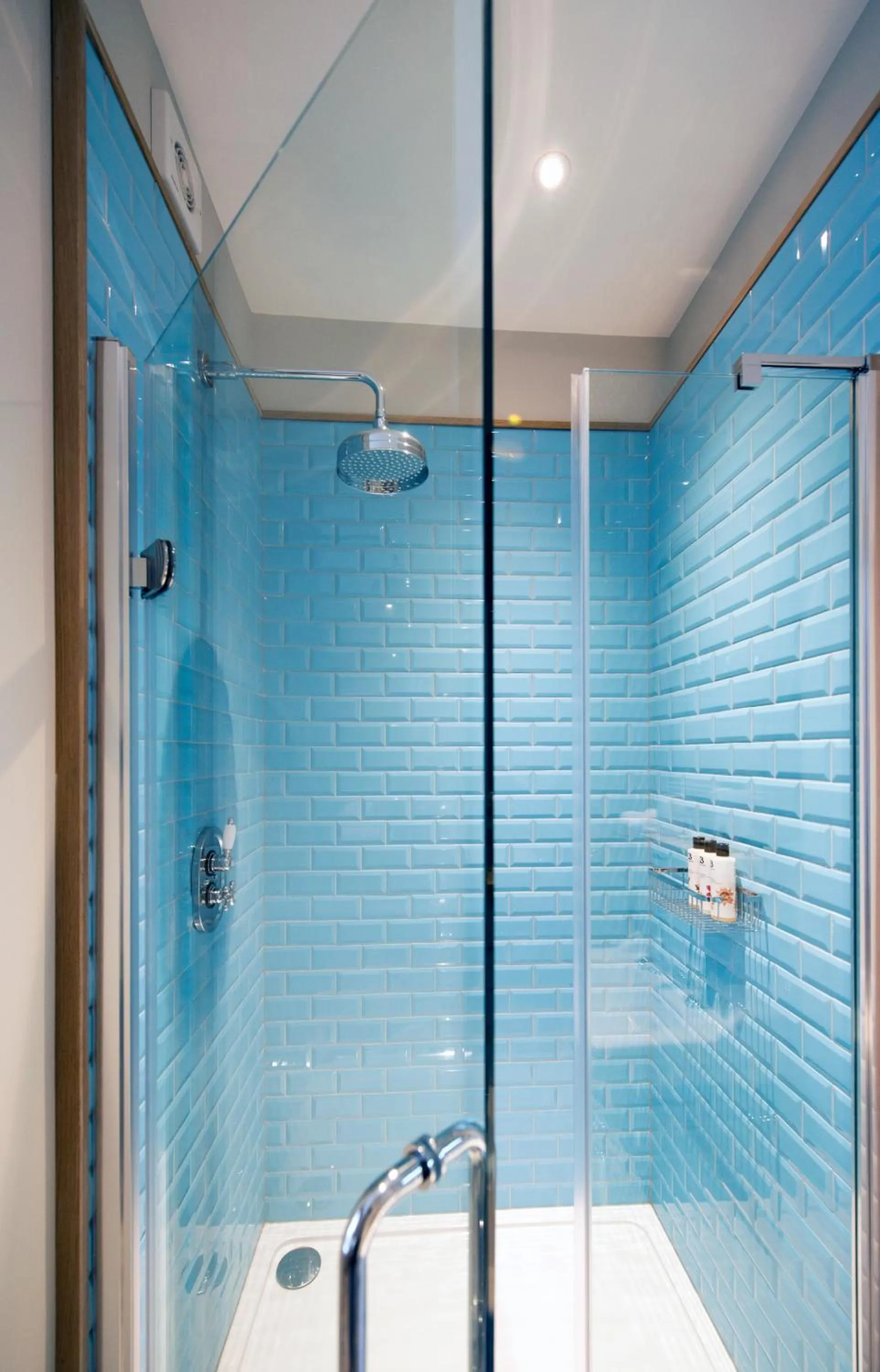 Shower in The Coach House