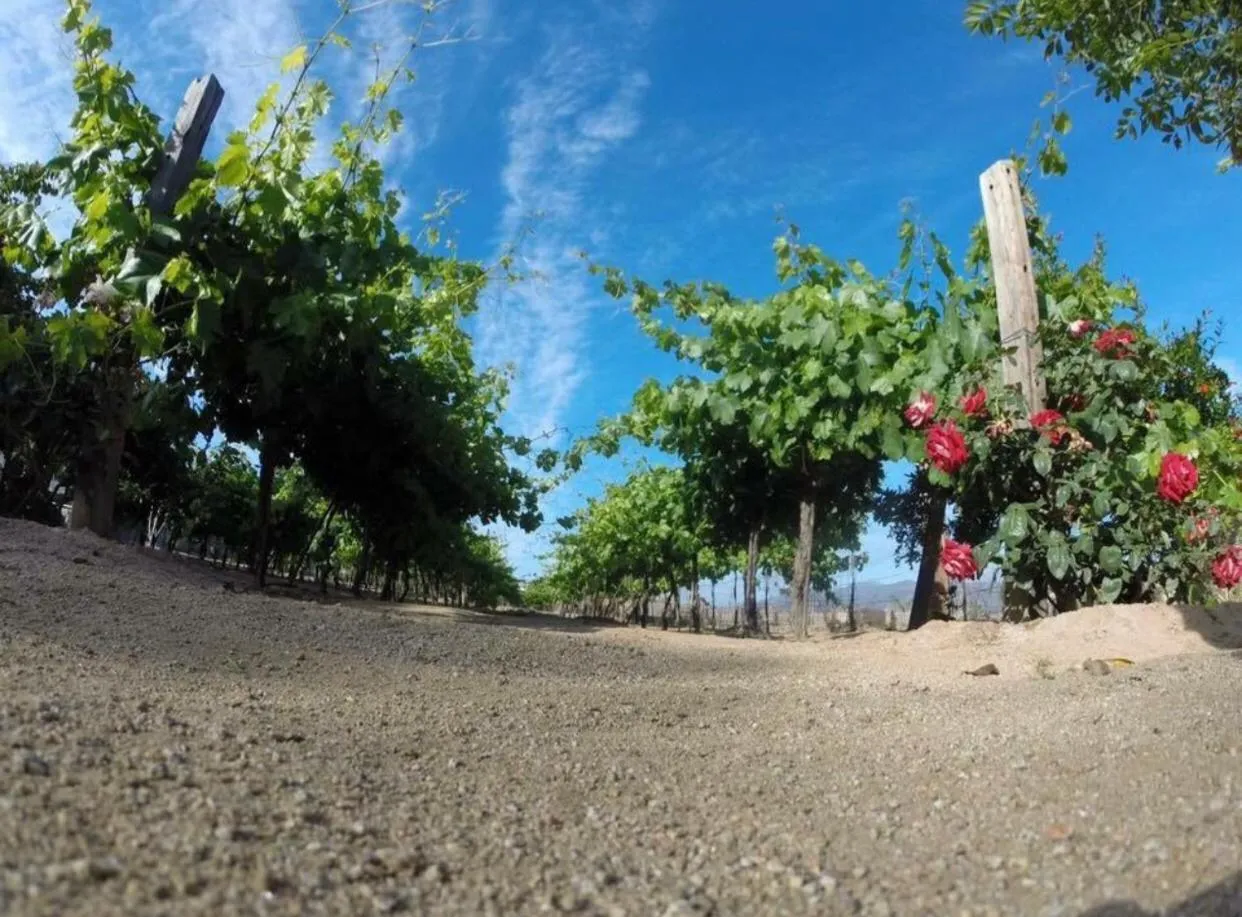 Natural landscape in Finca Chavez