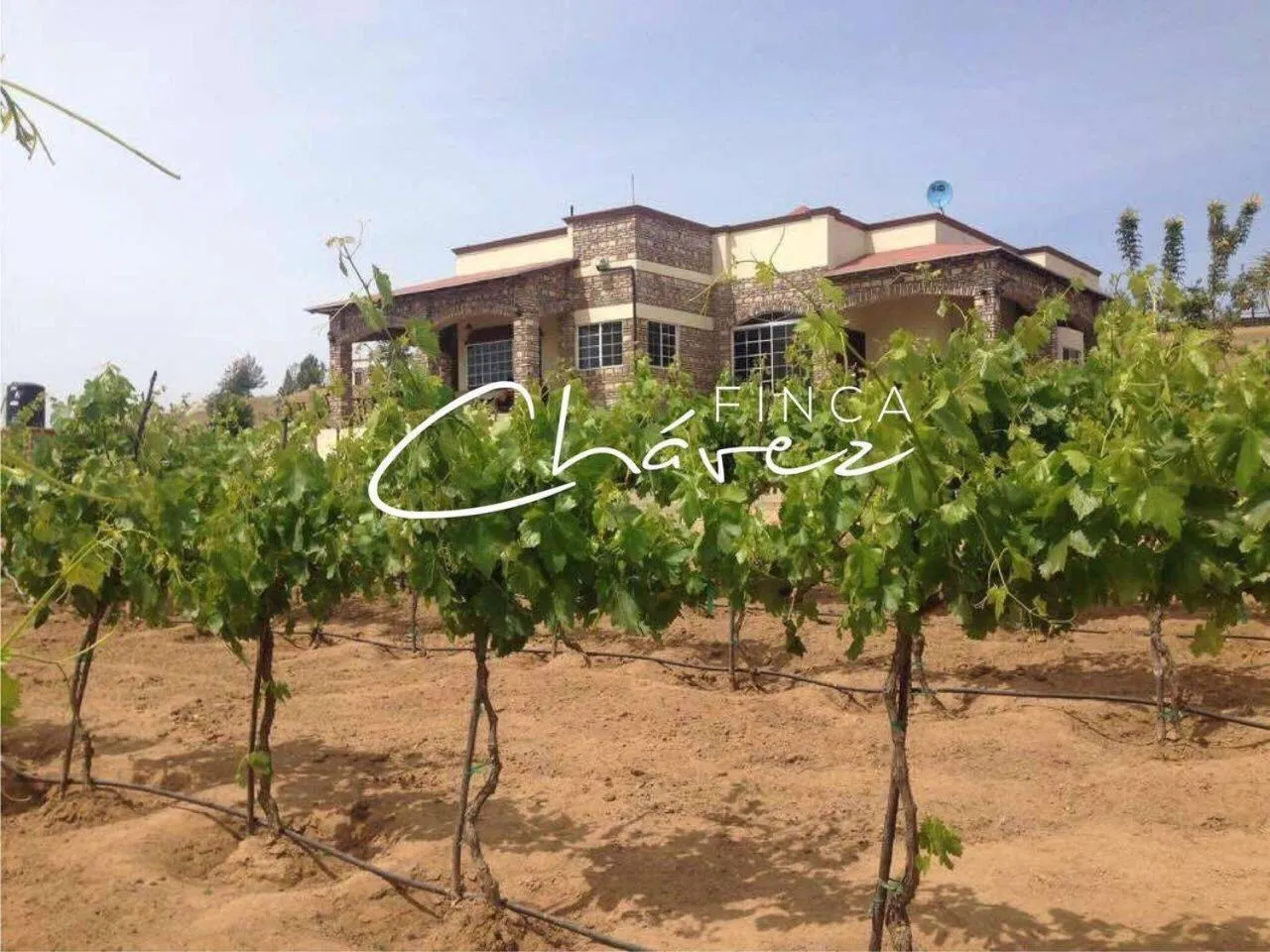 Property building in Finca Chavez