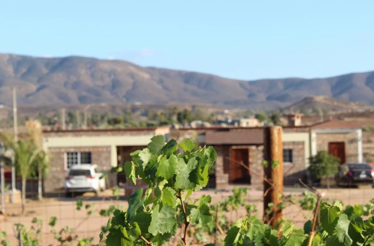 Mountain view in Finca Chavez