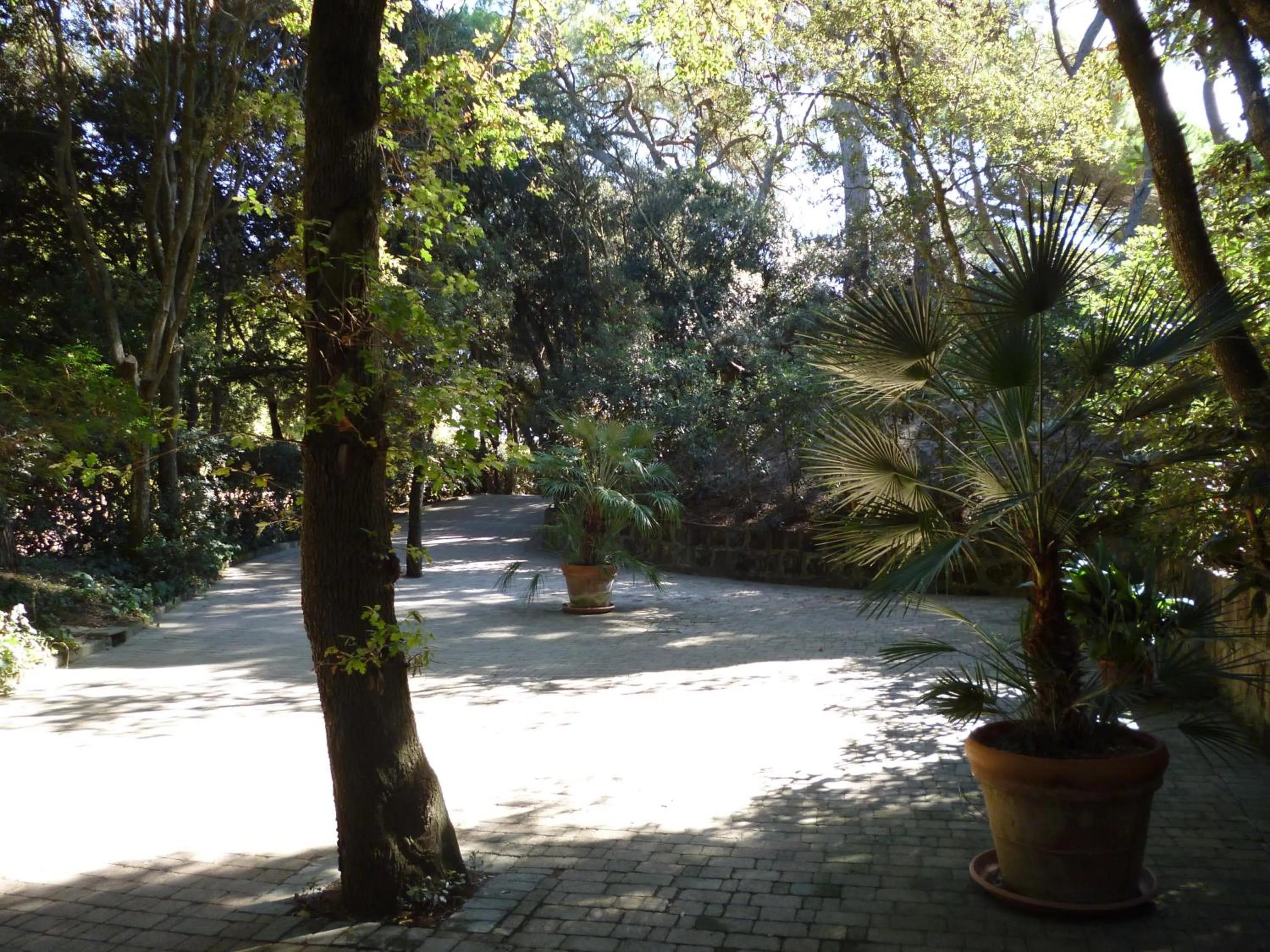 Garden in Baia Etrusca Resort